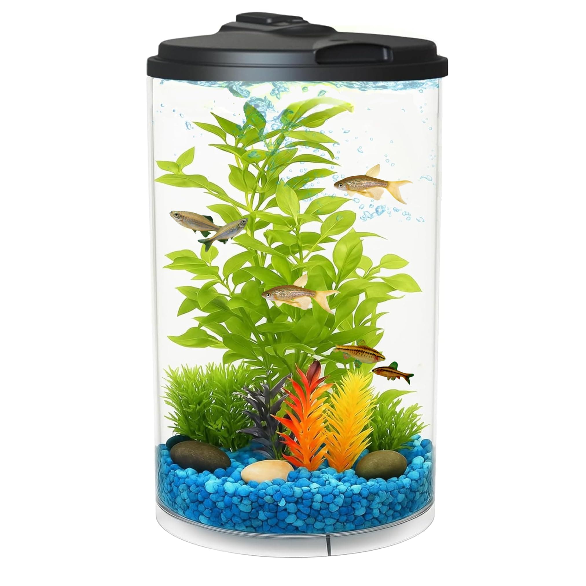 Koller Products 3-Gallon 360 Aquarium with LED Lighting (7 Color Choices) and Power Filter, Ideal for a Variety of Tropical Fish,Crystal-Clear Clarity,AP360A-3FFP