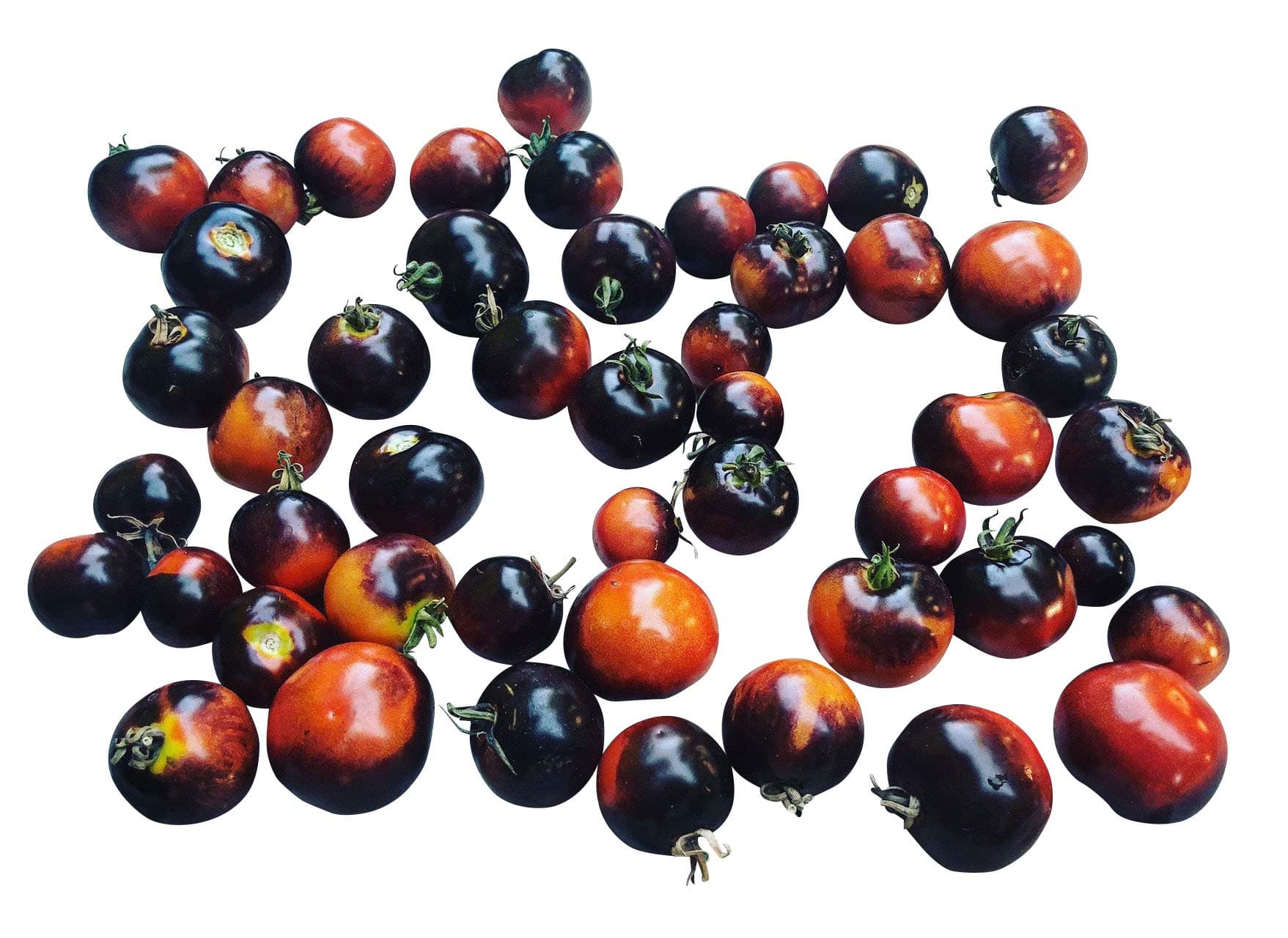 maibuyuk 1 Pack 20pcs Rare Black Cherry Tomato Seeds Sweet Vegetable Fruit Seeds