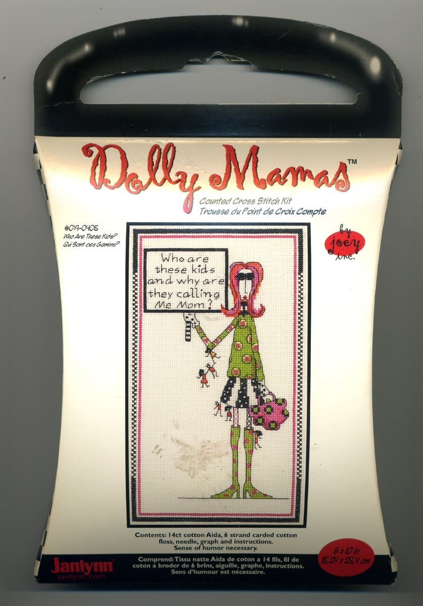 Counted Cross Stitch Kit, "Who Are These Kids?" #019-0405