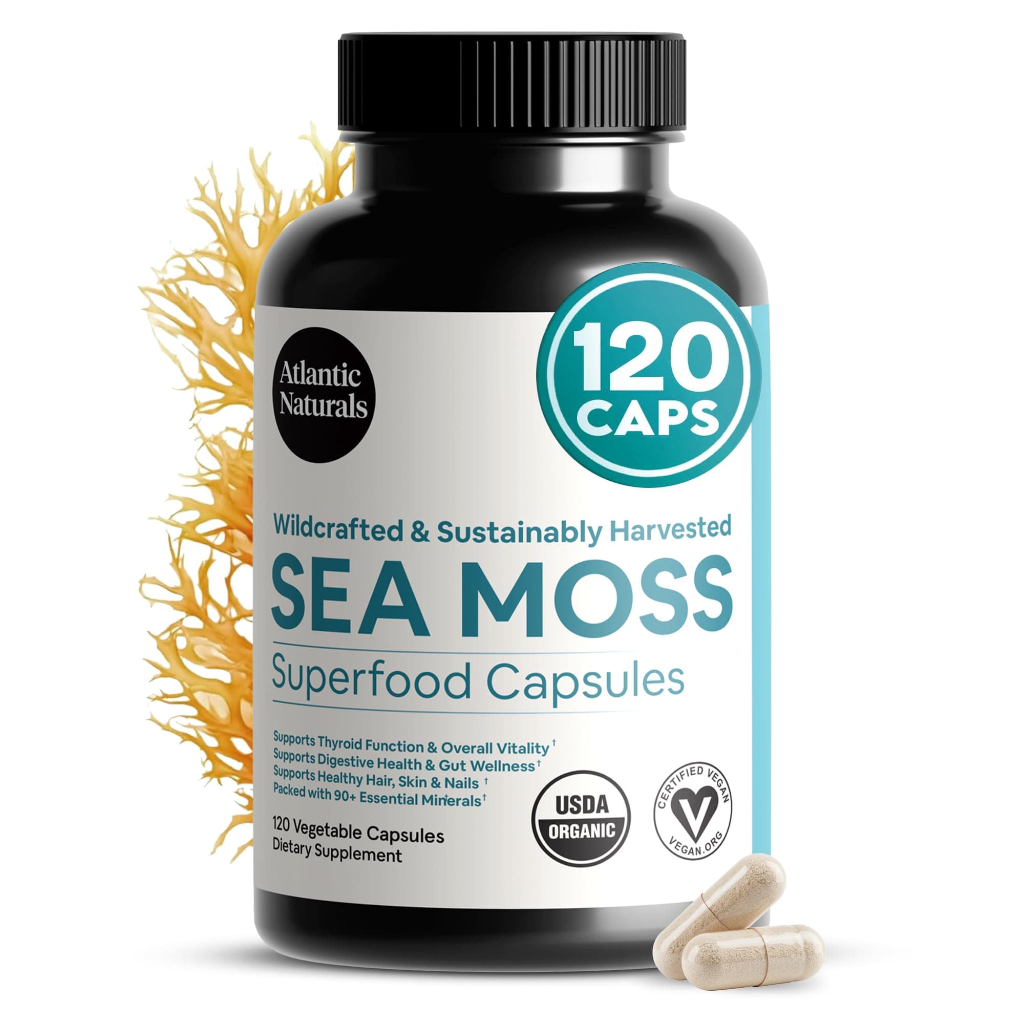 Atlantic Naturals Superfood Organic Irish Sea Moss Capsules - 120 Veggie Capsules | Wildcrafted Organic Sea Moss Supplement for Men & Women | Better Than Sea Moss Gel | Support Immunity & Skin, 1000mg