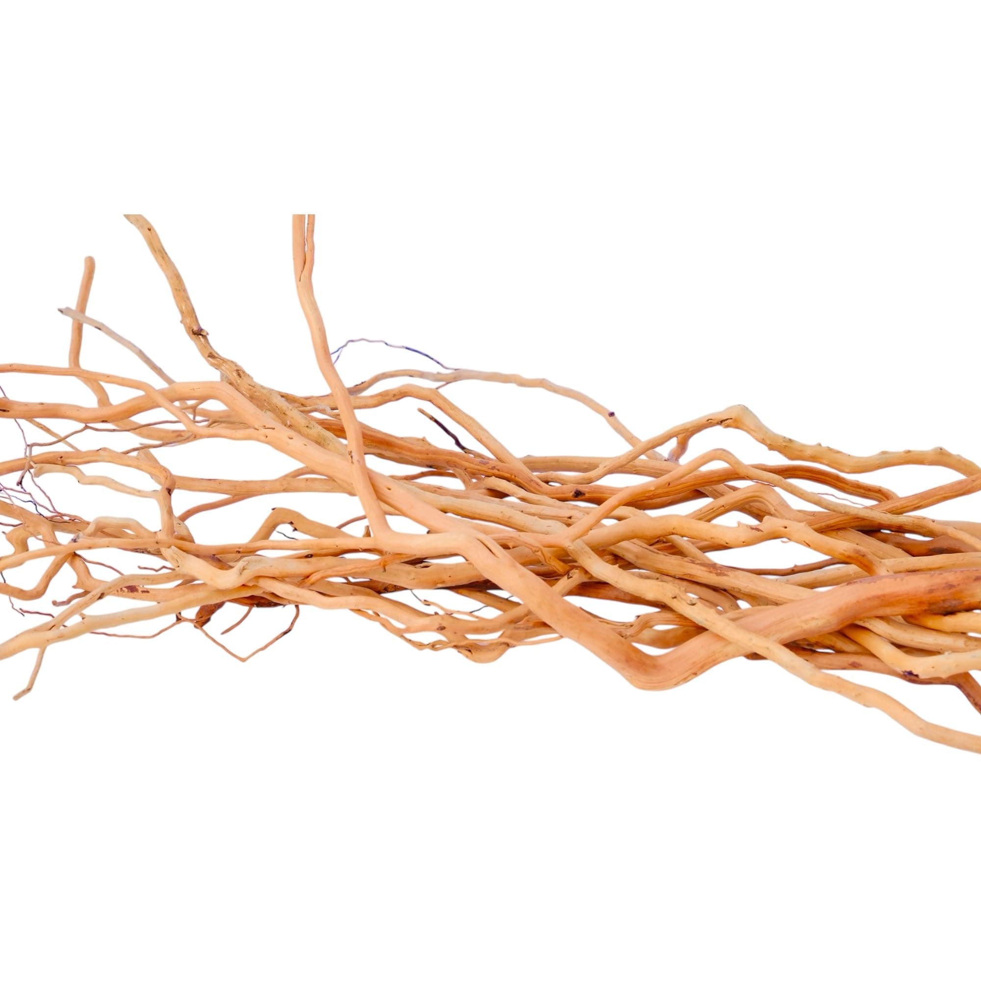 Azil Natural Aquarium Driftwood Root – Driftwood for Aquarium Decor, 200g (14″–16″), Fish Tanks, Terrariums, Aquascaping & Planted Tanks