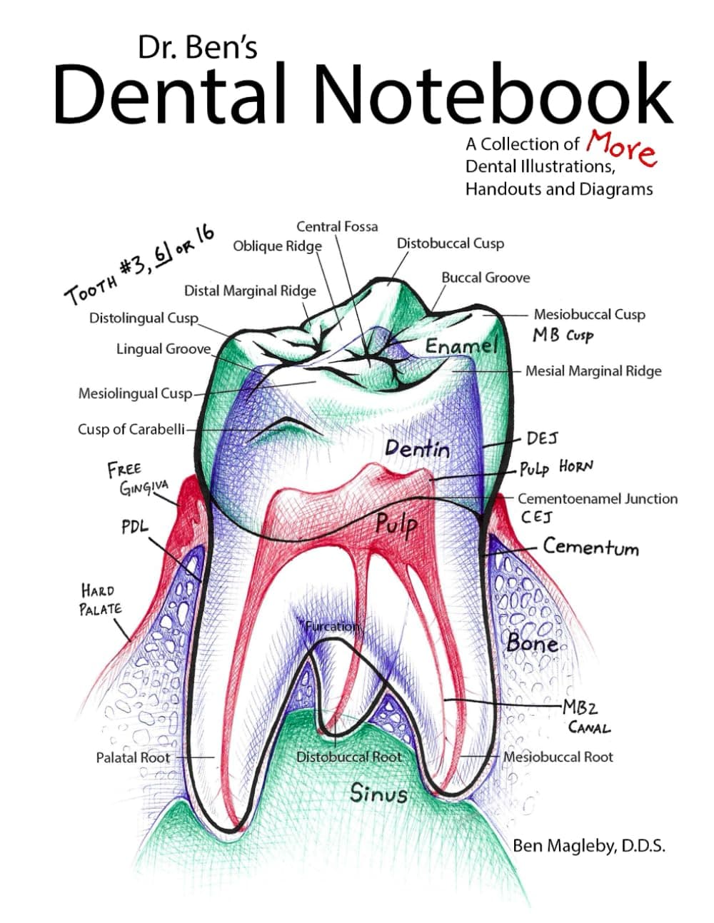 Dr. Ben's Dental Notebook: A Collection of Dental Illustrations, Handouts and Diagrams