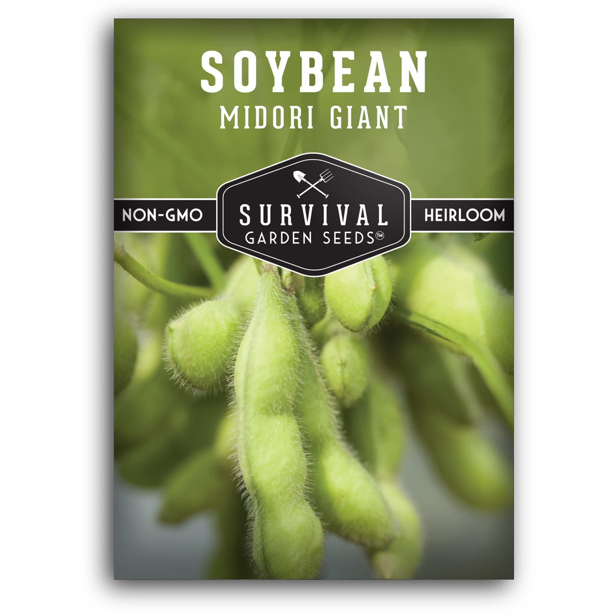 Midori Giant Soybean Seeds for Planting - Grow Protein-Rich Edamame Pods in Your Home Vegetable Garden - Non-GMO Heirloom Soy Bean - Survival Garden Seeds (1 Pack)