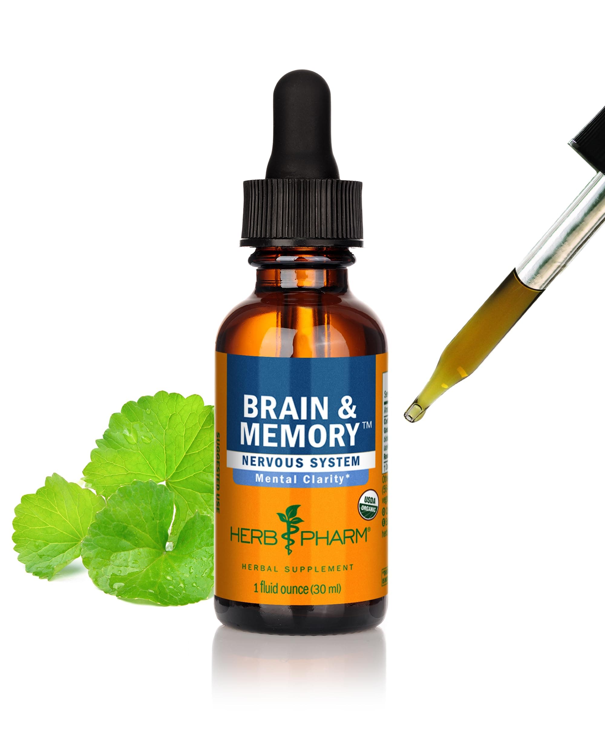 Herb Pharm Organic Nootropic Brain & Memory Supplement with Ginkgo Biloba Liquid Extract: Fast Absorption for Mental Focus Support, Ginkgo Supplement, Vegan, Gluten-Free, Non-GMO, 1 Oz