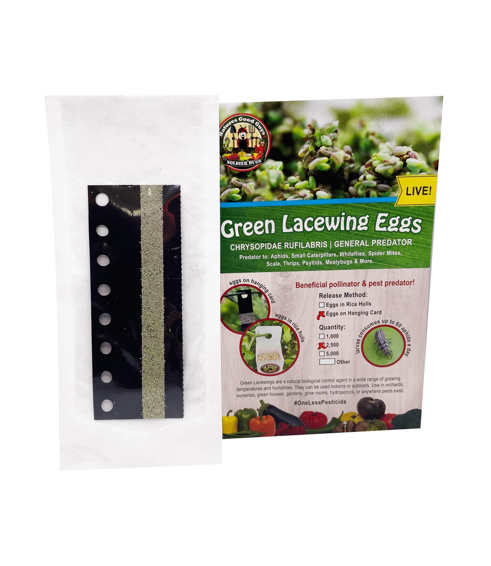 Natures Good Guys - Green Lacewing Eggs on Hanging Card (2,500 Eggs)