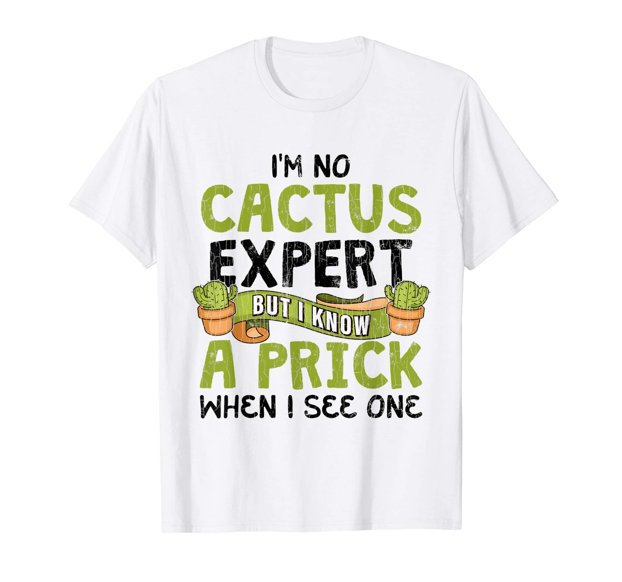 Funny Cactus Gifts & MoreIm No Cactus Expert But I Know A Prick When I See One Gift T-Shirt