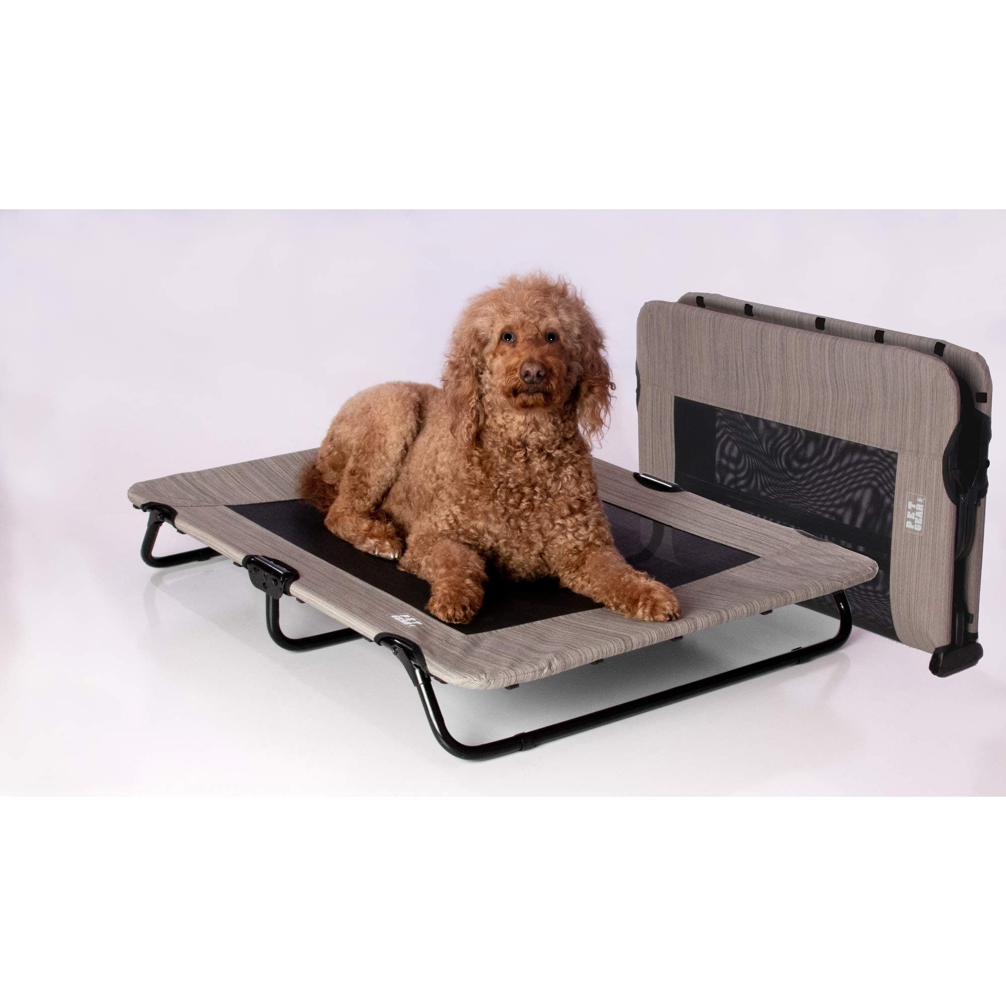 Pet Gear Lifestyle Pet Cot Elevated Bed | No Assembly Required | Premium Tear Resistant Cooling Mesh | Indoor & Outdoor | Lightweight & Portable