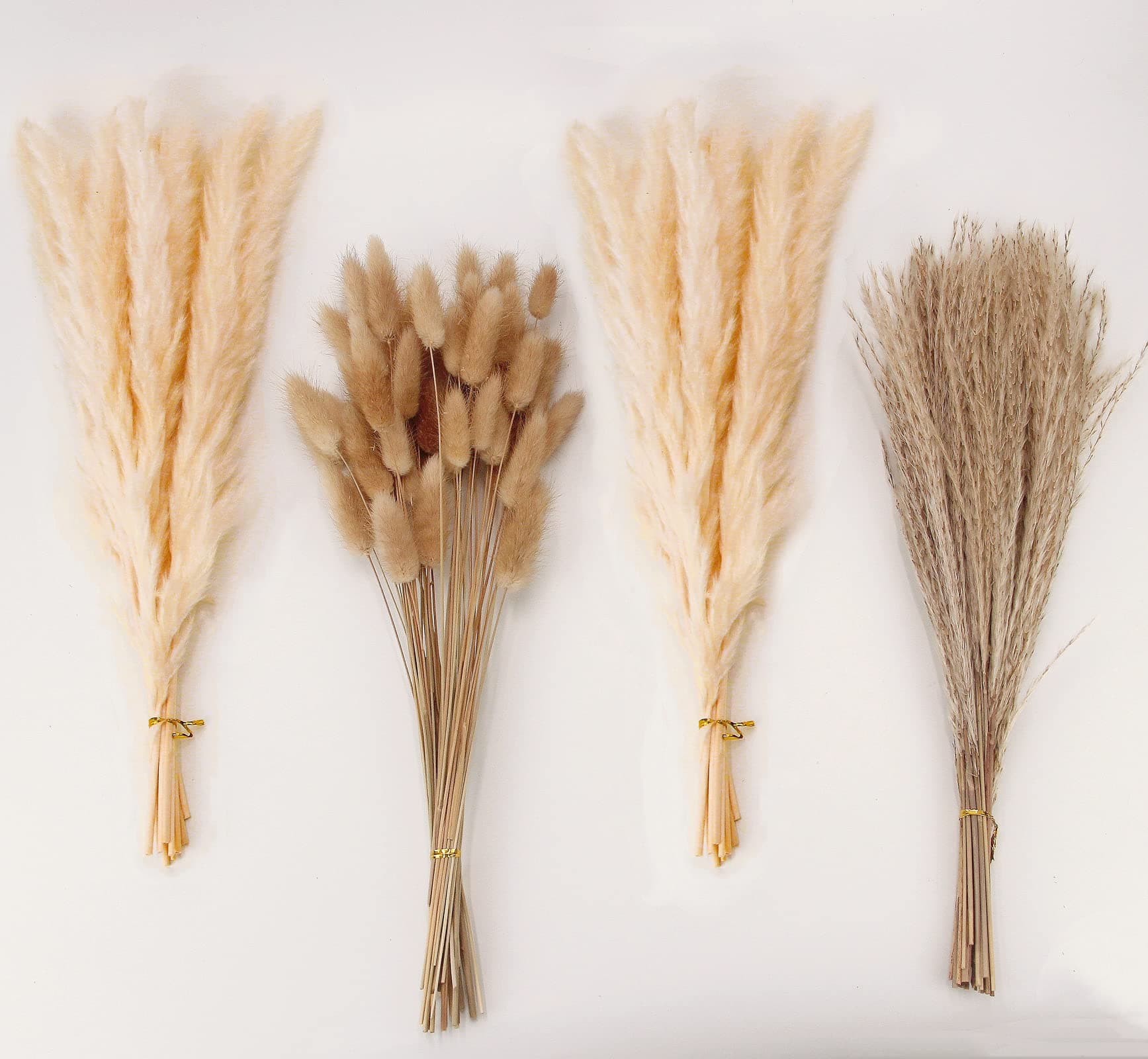 ANPROORNatural Dried Pampas Grass Decor, Beige Pampas Grass, Bunny Tails Dried Flowers, Reed Grass Bouquet for Wedding Boho Flowers Home Table Decor, Rustic Farmhouse Party (100 in Total )