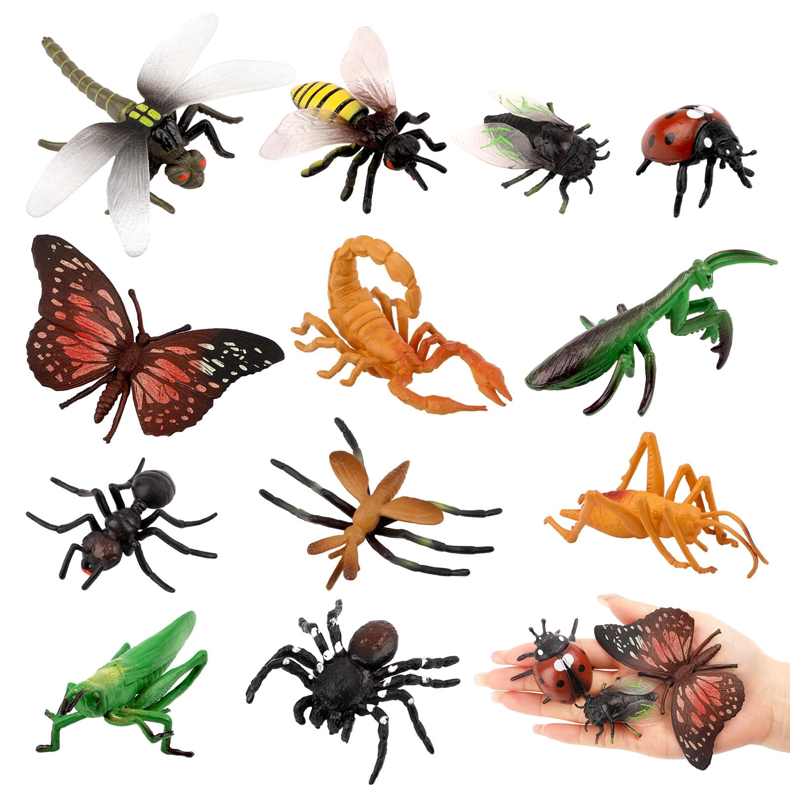 Insect Toys Kit, 12Pcs Large Children's Plastic Bug Toys Set, Realistic Insect Figurines, Educational & Party Fun
