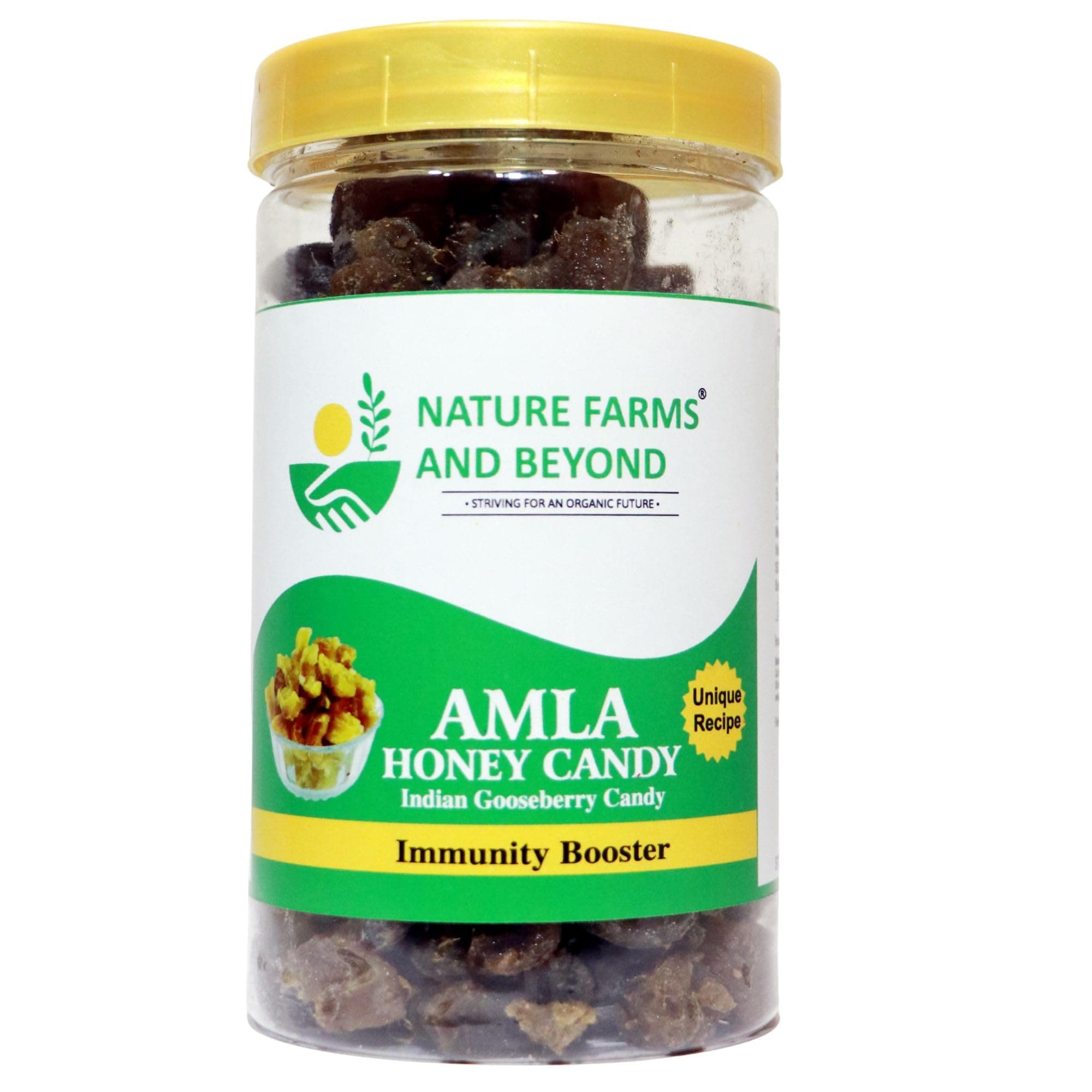 Nature Farms Honey Amla Candy Purely Honey Processed Dry Amla Candy Best For Eyes, Hairs Low-Calorie Dry Fruit Snack And 100% Natural Honey Sweetened Snack. (Pack of 500 Gm)