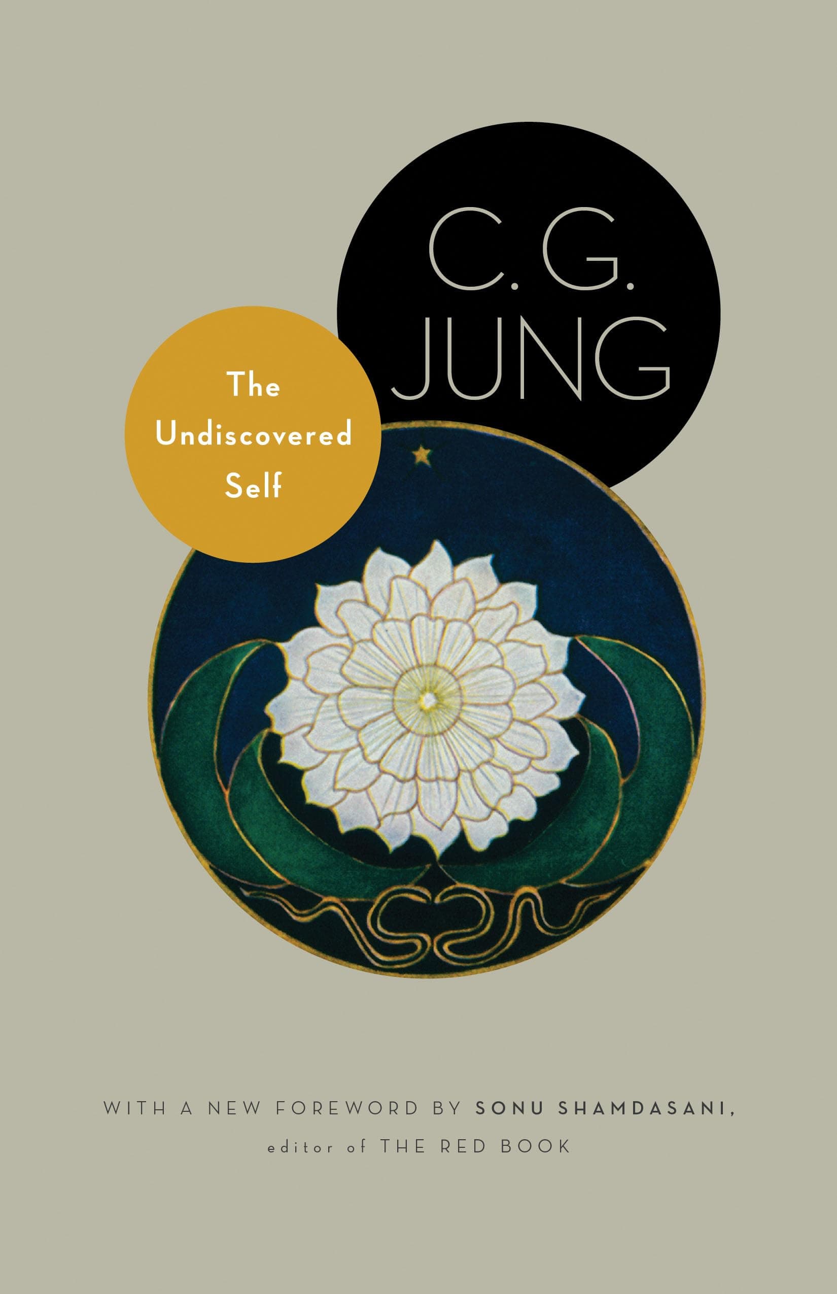 UNDISCOVERED SELF REV/E: With Symbols and the Interpretation of Dreams: 10 (Bollingen Series XX: The Collected Works of C. G. Jung)