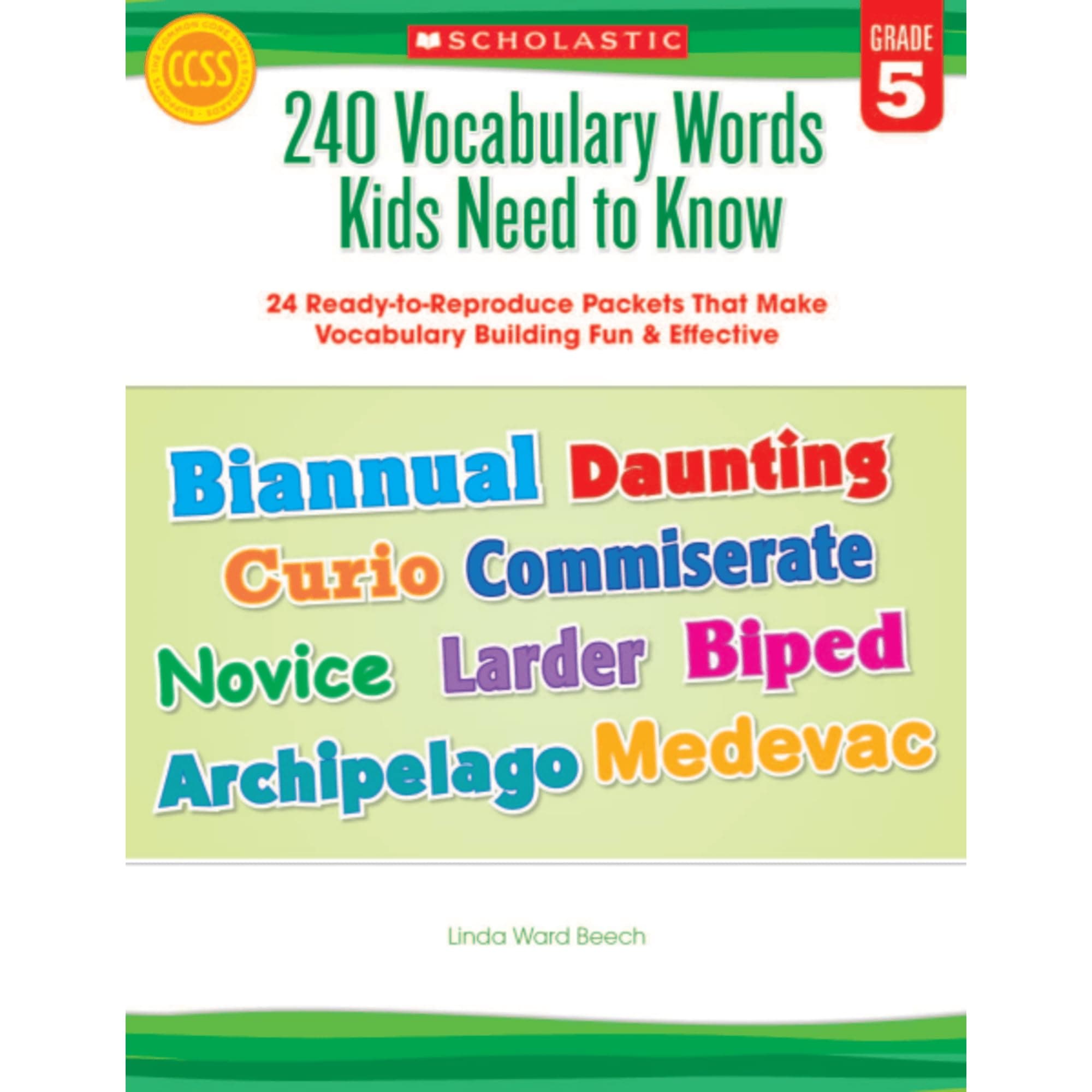 240 VOCABULARY WORDS KIDS NEED TO KNOW :: 24 Ready-To-Reproduce Packets Inside!