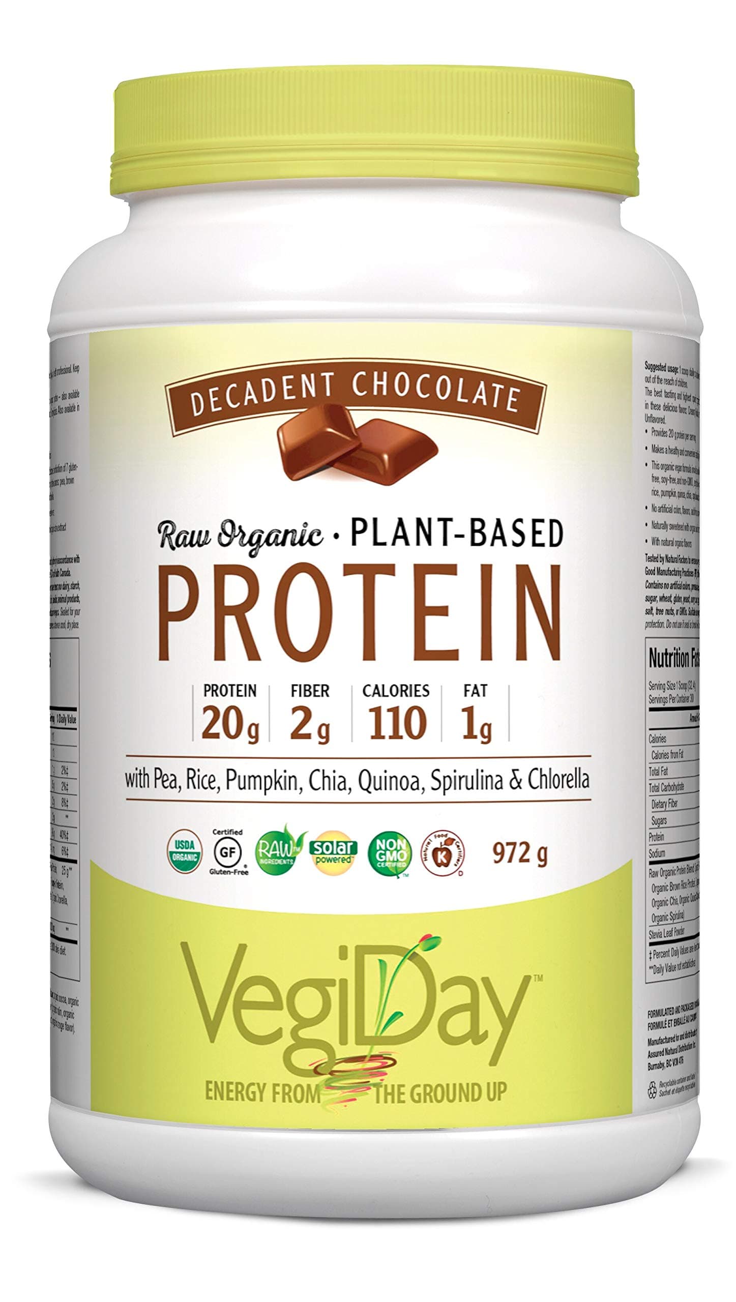 VegiDay Raw Organic Plant Based Protein Decadent Chocolate, 972 gUSDA Organic