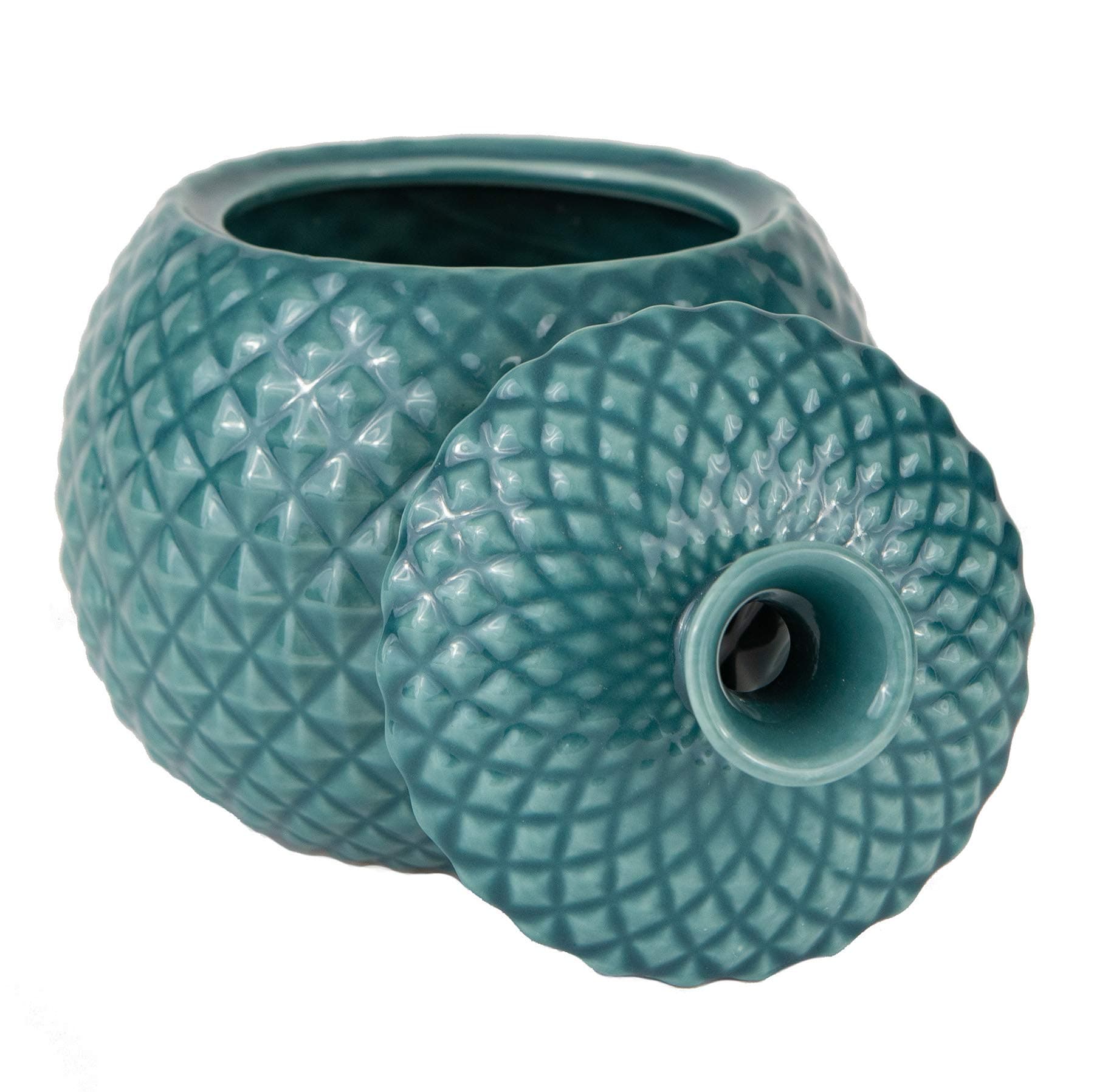 Fruit Fly Jar Trap for Home Kitchens - Decorative, Effective, Kid and Pet Friendly (Turquoise)