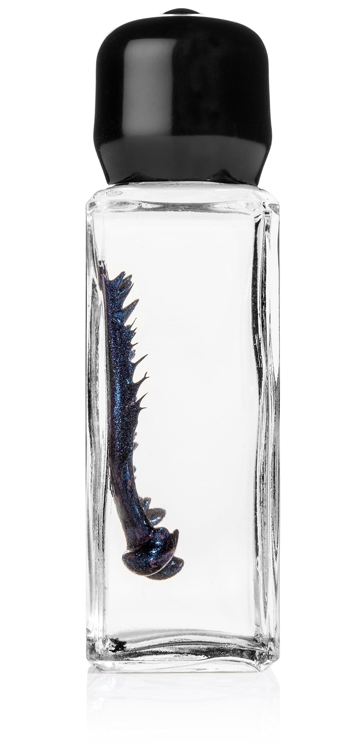 Blue Colored Ferrofluid in a Bottle Display - Magnetic Ferrofluid Decorative Magnet - Science Kit - 1 Count - Glass Bottle
