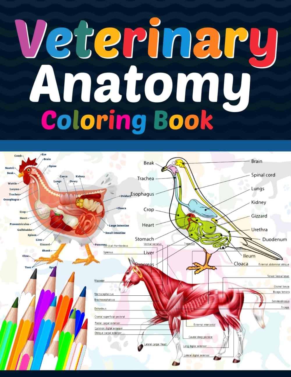 Veterinary Anatomy Coloring Book: Veterinary Anatomy Coloring Book For Medical, High School Students. Anatomy Coloring Book for kids. Veterinary ... Anatomy Student Self Test Coloring Workbook.