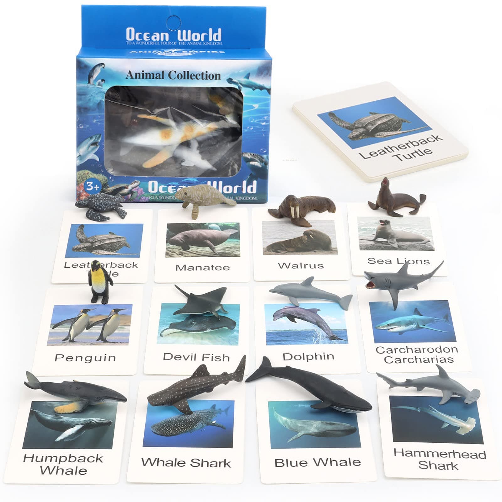 Mini Ocean Animal Figures with Flash Cards, Realistic Animal Figurines Toys, Montessori Materials Homeschool Preschool Science Educational Matching Game for Toddler Kids (Sea)