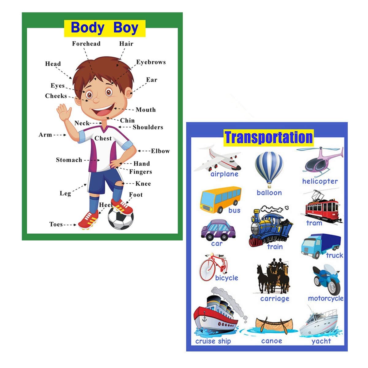 SANTSUN2 Pcs of Set Educational Preschool Poster for Toddlers and Kids|Great for Nursery Homeschool Kind Classroom decorations|School Wall Decor-Transportation,Body Parts(17x24in)