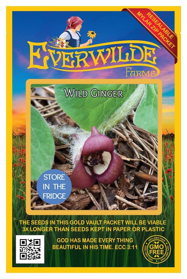 Everwilde Farms - 25 Wild Ginger Native Wildflower Seeds - Gold Vault Seed Packet
