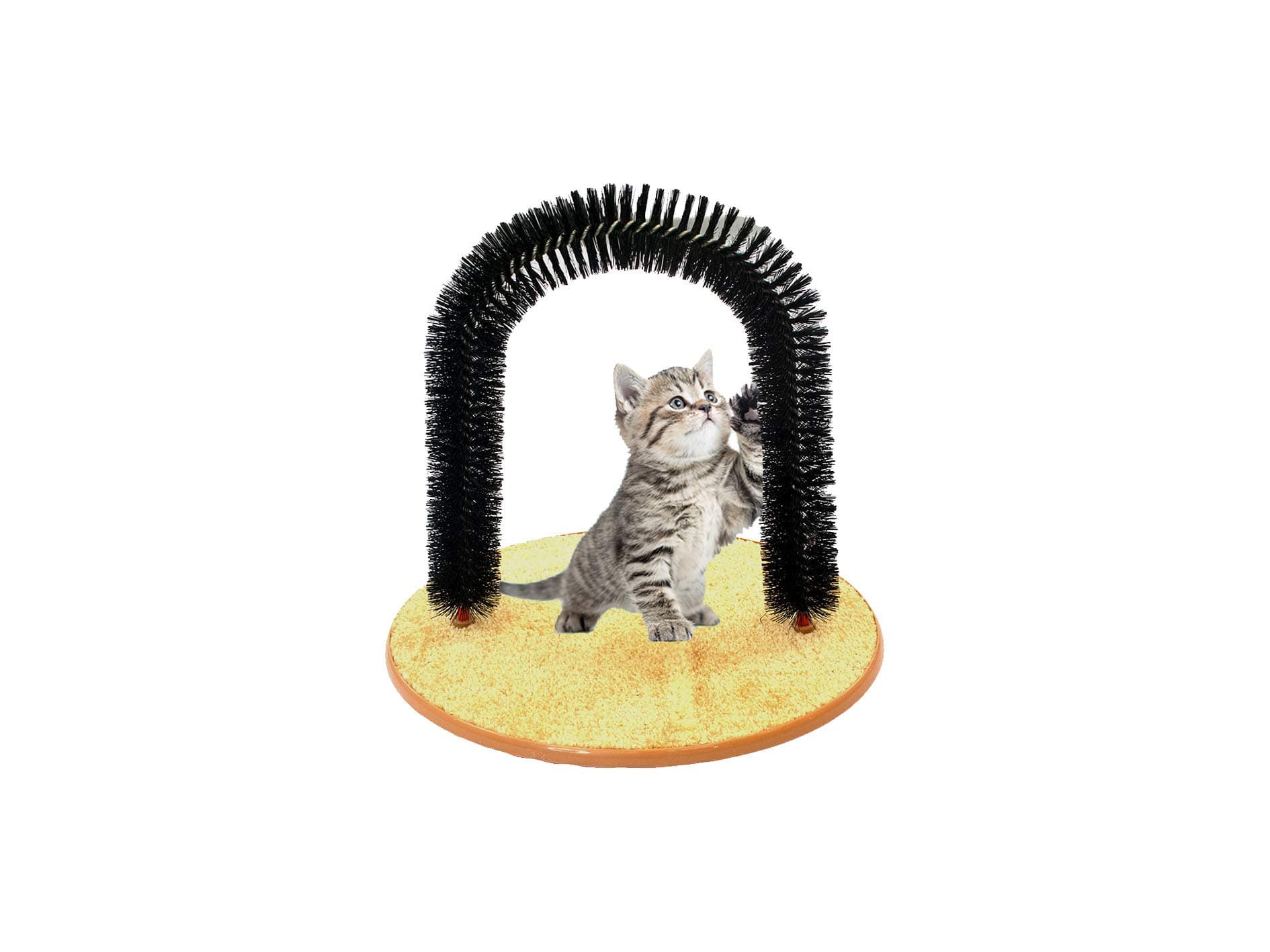 Modo Purrfect ARCH Cat Self Shedding Groomer Kitty Massager Pet Scratcher Toy/Cat arch