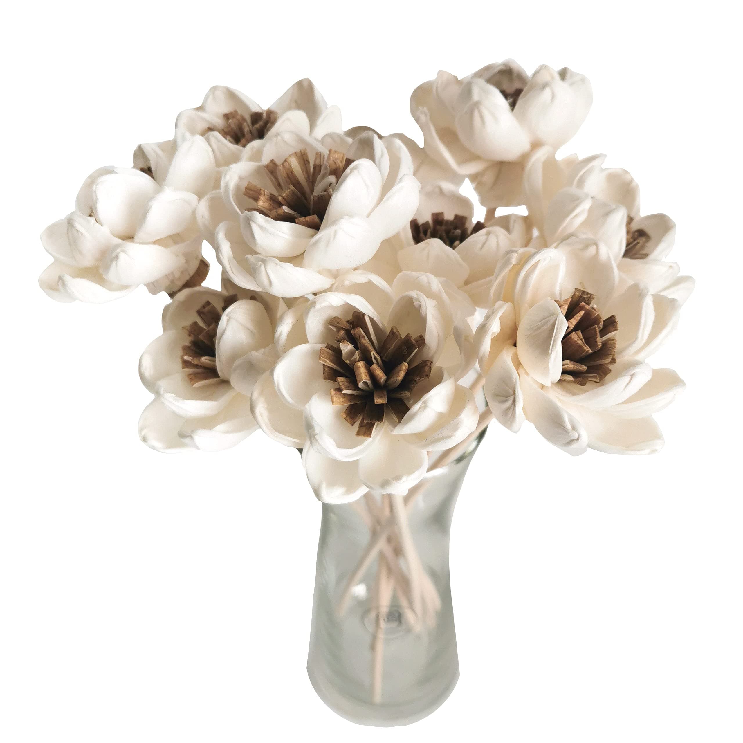 10 Angel Wings Lotus Sola Flower with Reed Diffuser for Home Fragrance by Plawanature