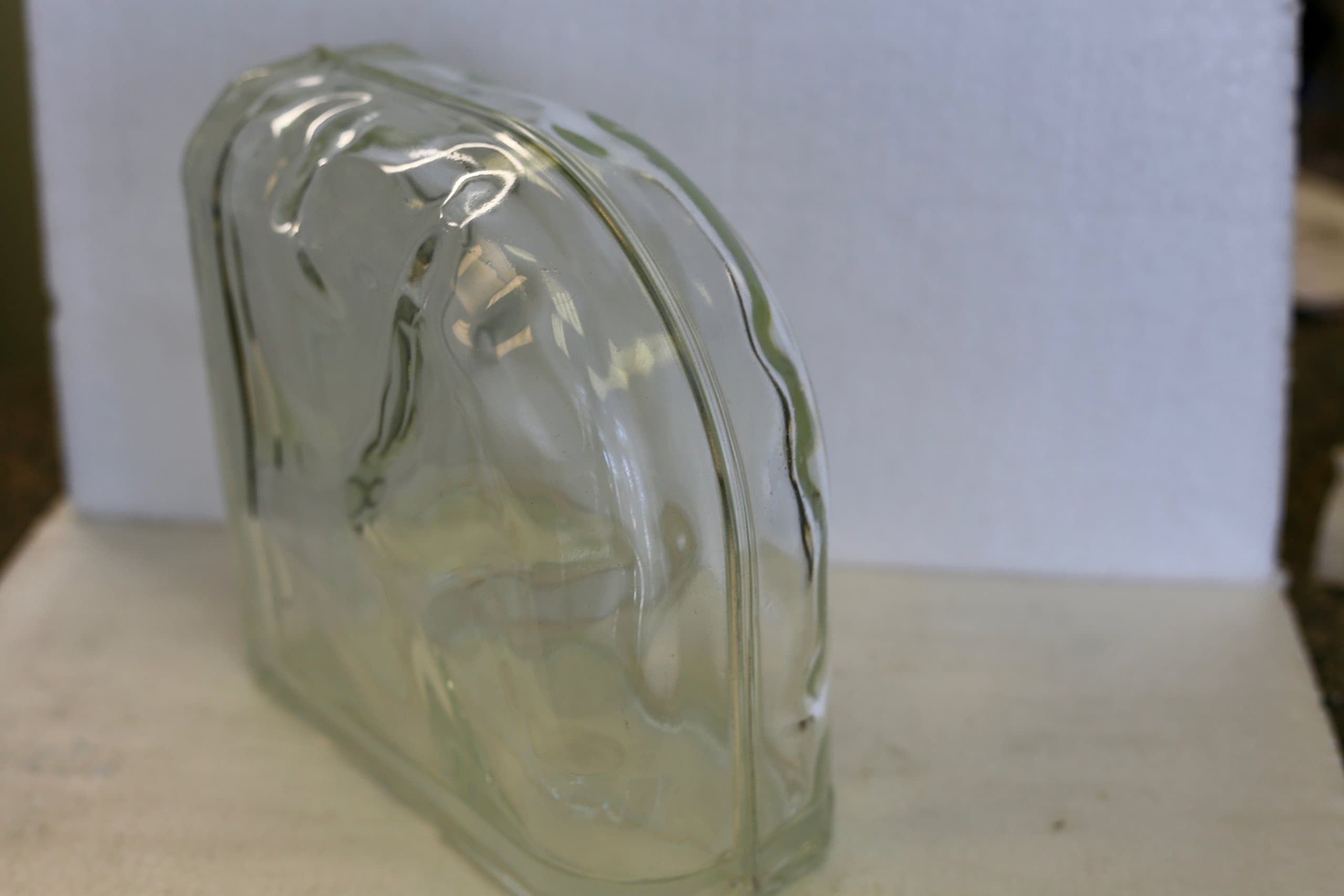 8 x 8 x 4 Decora Encurve Glass Block