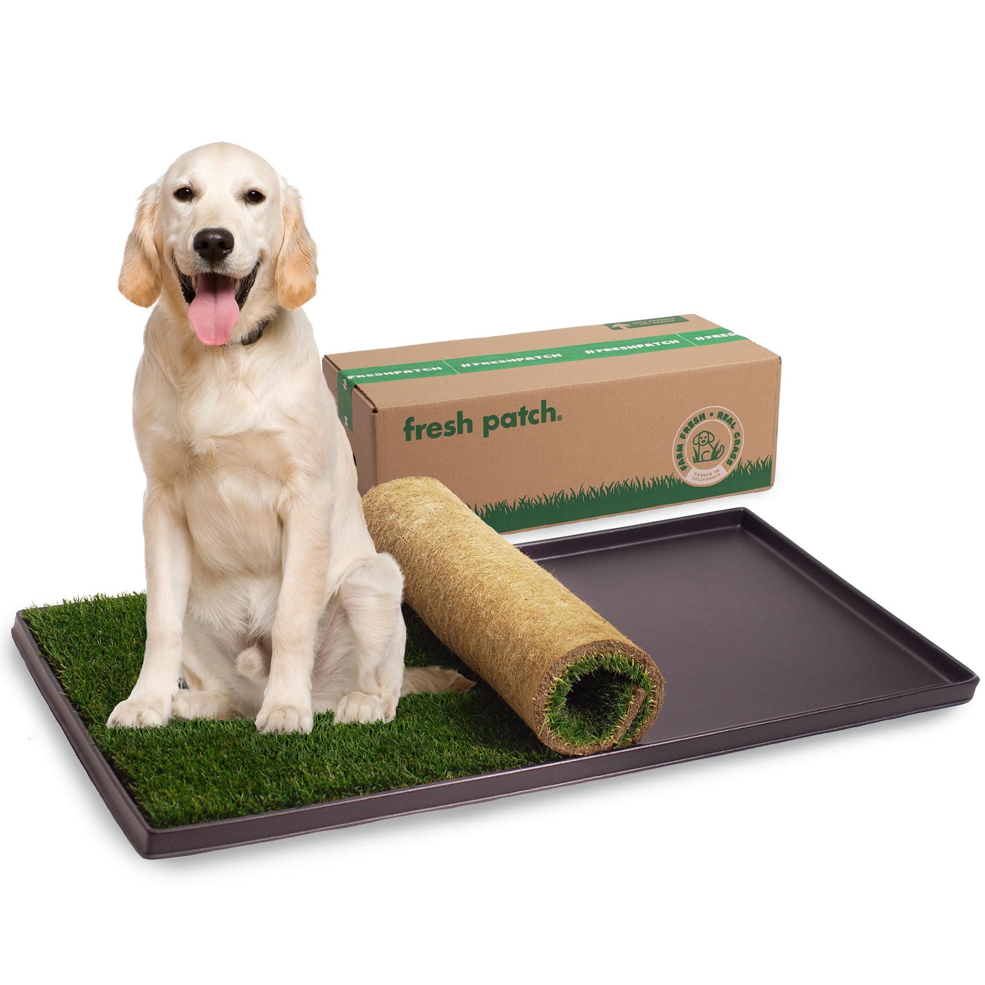 Fresh Patch XL Bundle - Real Grass Pee and Potty Training Pad and Plastic Tray for Multi-Dog Households - Indoor and Outdoor Use - 48 Inches x 24 Inches