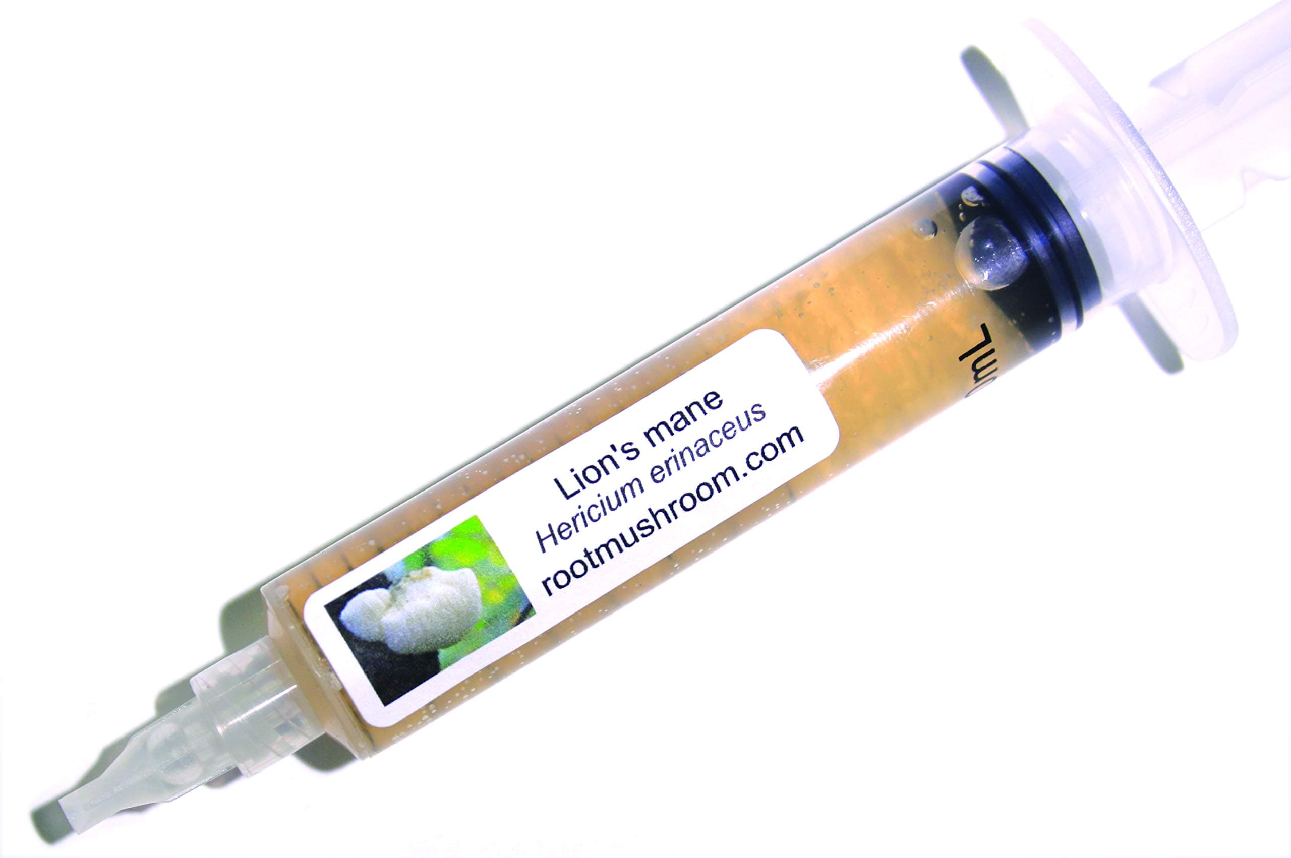 ルートマッシュルームファーム-キノコ液体培養/ライオンのたてがみ(ヘリウムエリナセウス)