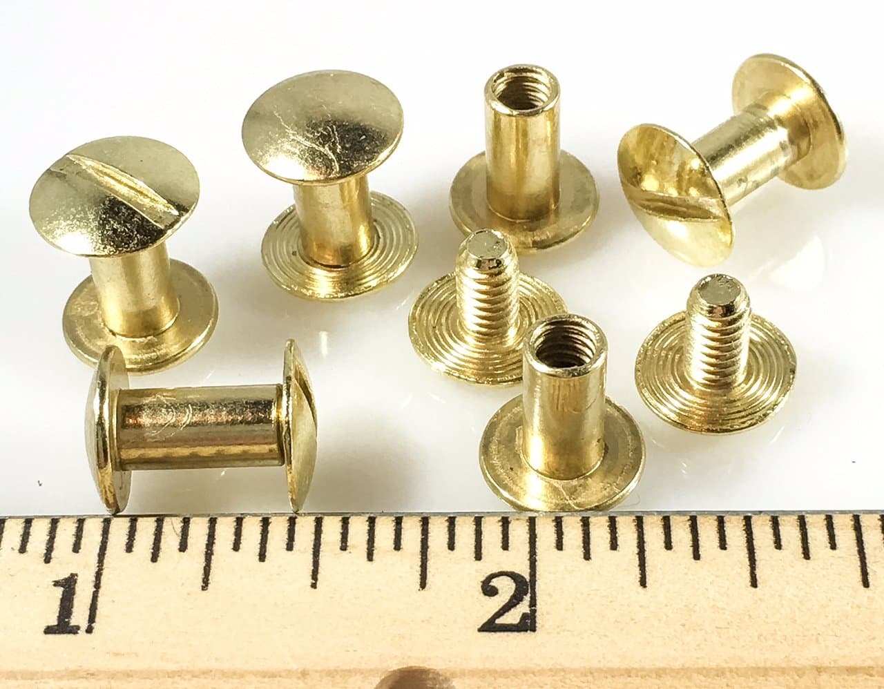 Dangerous Threads Conchos Chicago Screws 3/8" Plain 25 Pcs Bp Gold