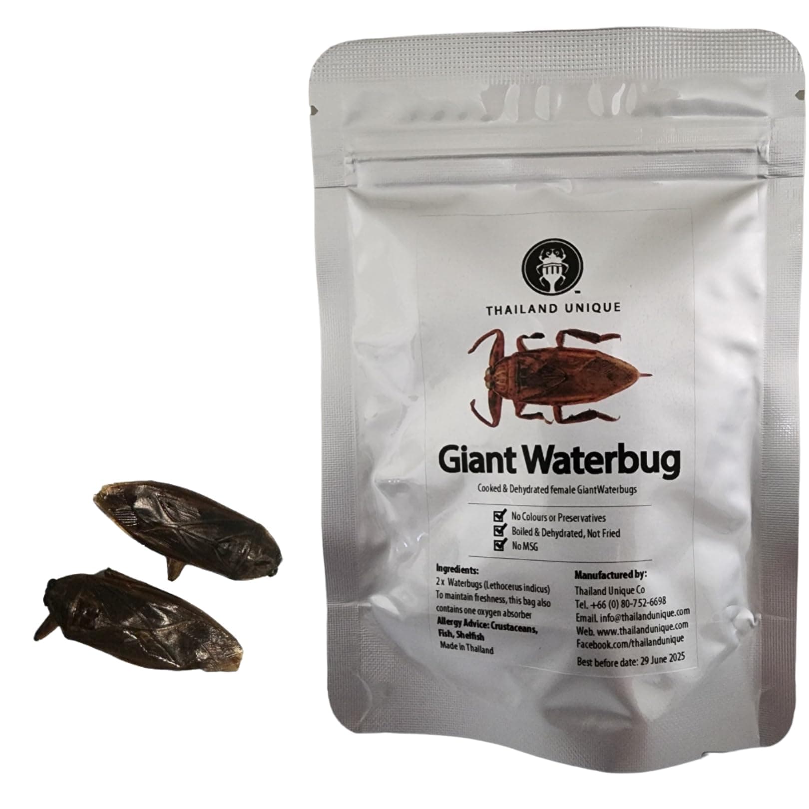 Thailand Unique Giant Waterbug Scorpions - 2 Pieces of Dehydrated Edible Insects for Humans, Nutritious Bugs Superfood Unusual Wierd Snack Gift