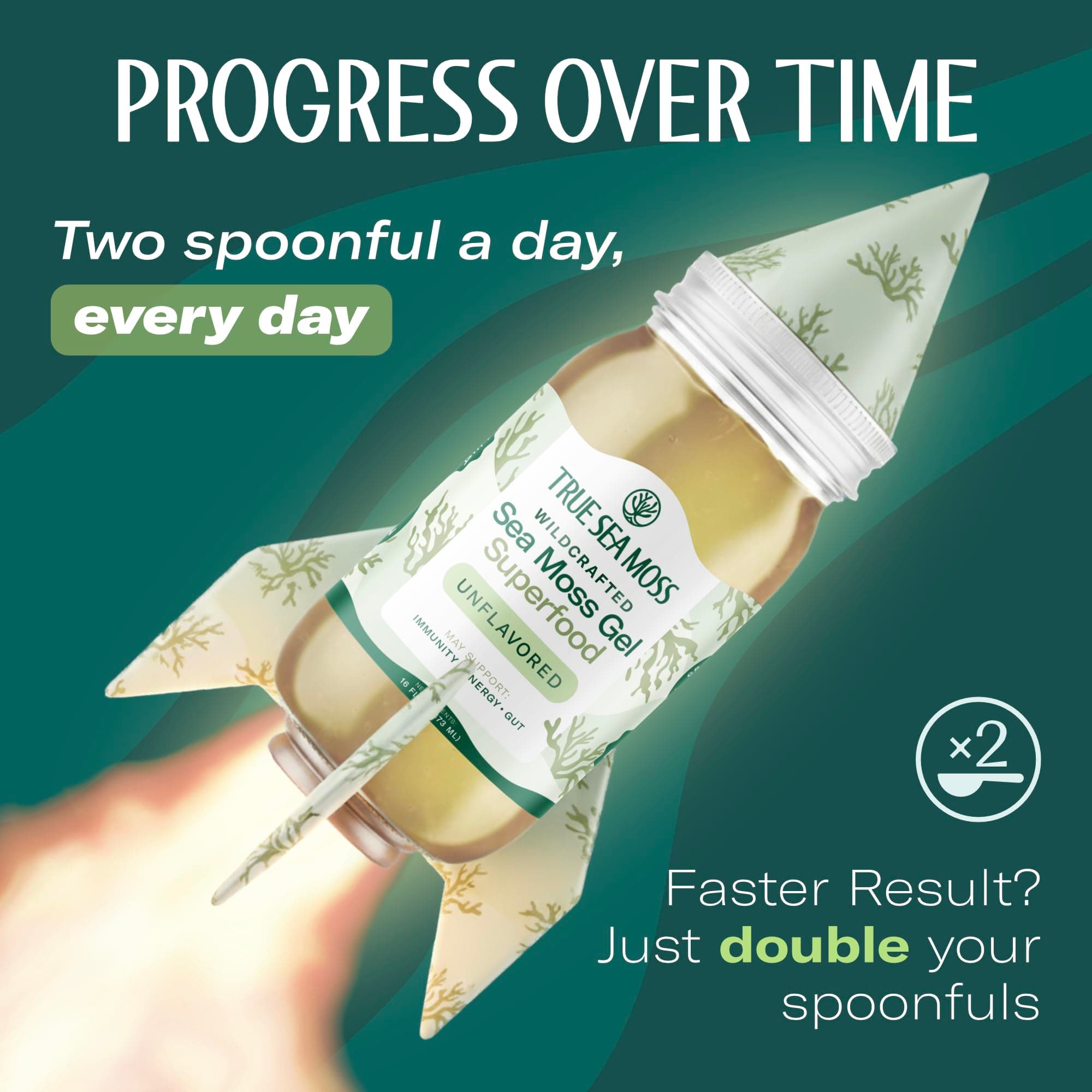 TrueSeaMoss Sea Moss Gel – Made in USA – Wildcrafted Seamoss, Dried Seaweed & Sea Vegetables – Original, Pack of 2 (Labels May Vary)