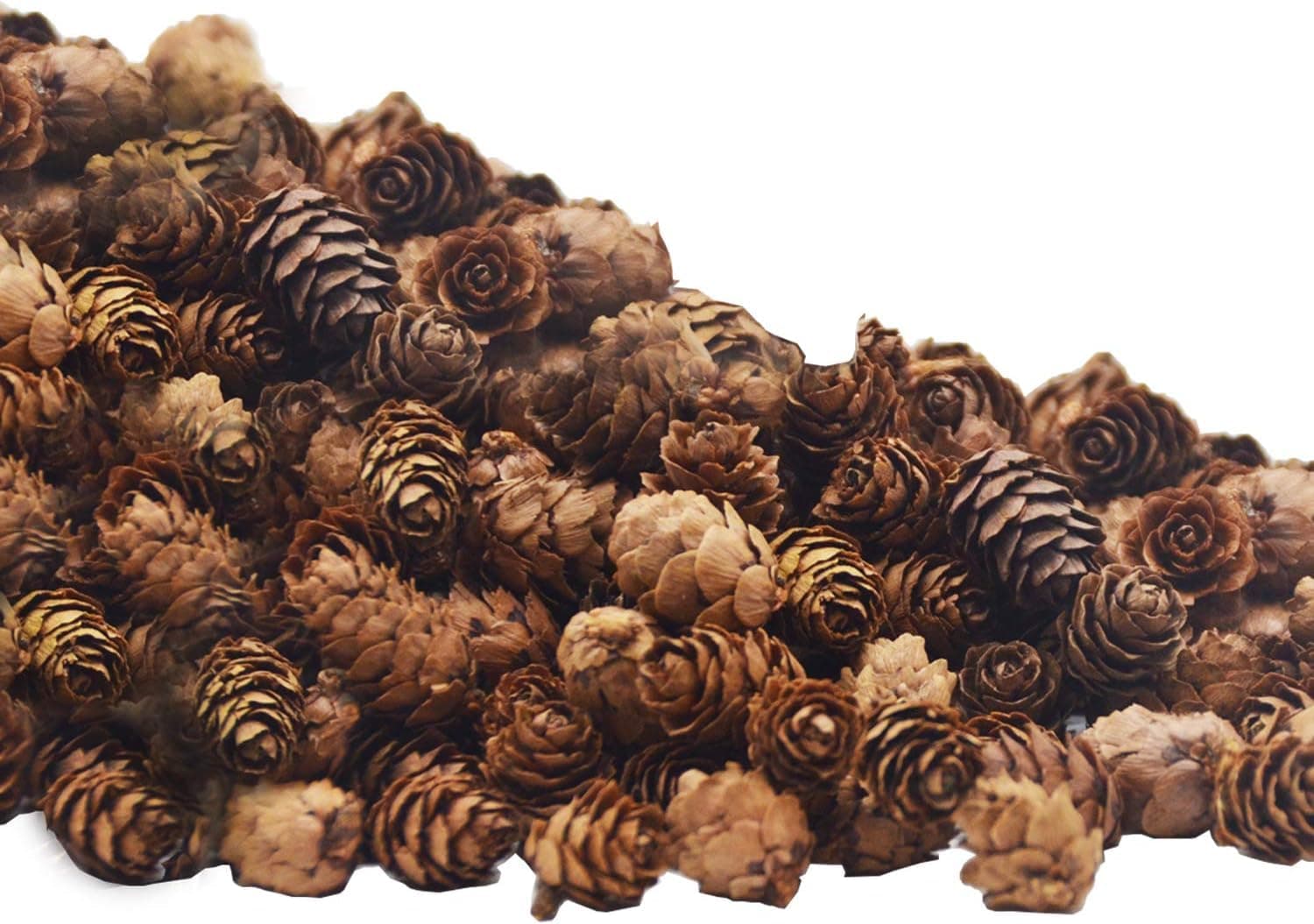 150 Pcs Christmas Natural Mini Pine Cones- 2CM Thanksgiving Small Pinecones Ornaments Vase Fillers for DIY Crafts, Home Decorations, Fall and Christmas, Wedding Decor