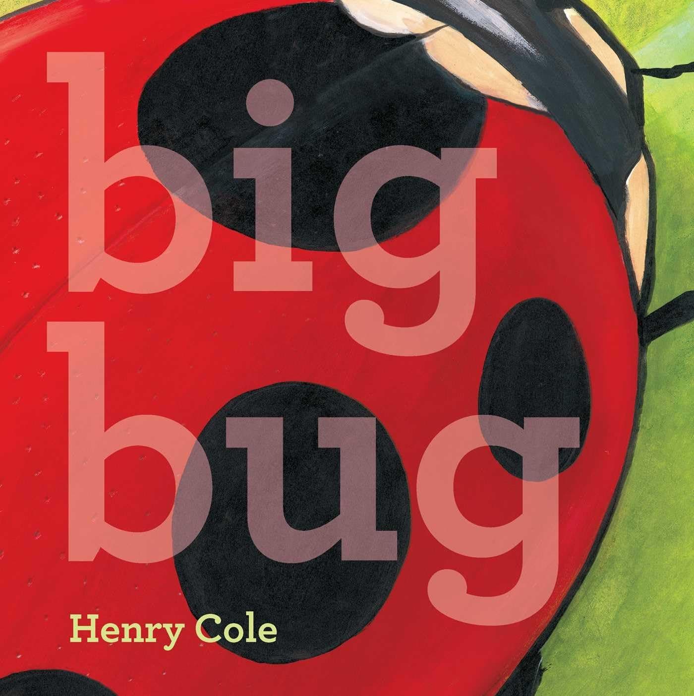 Big Bug Hardcover – Picture Book, April 15, 2014