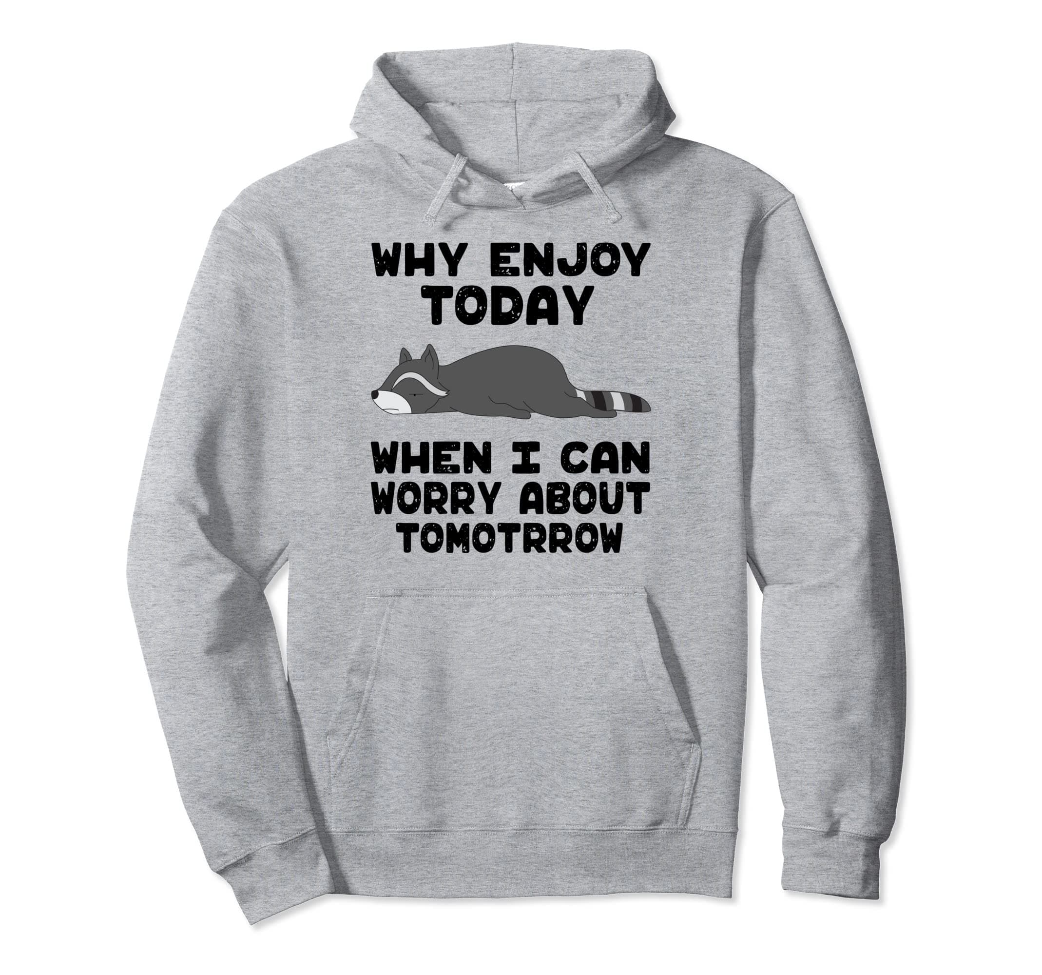 Funny Racoon Why Enjoyin Today When Can Worry About Tomorrow Pullover Hoodie