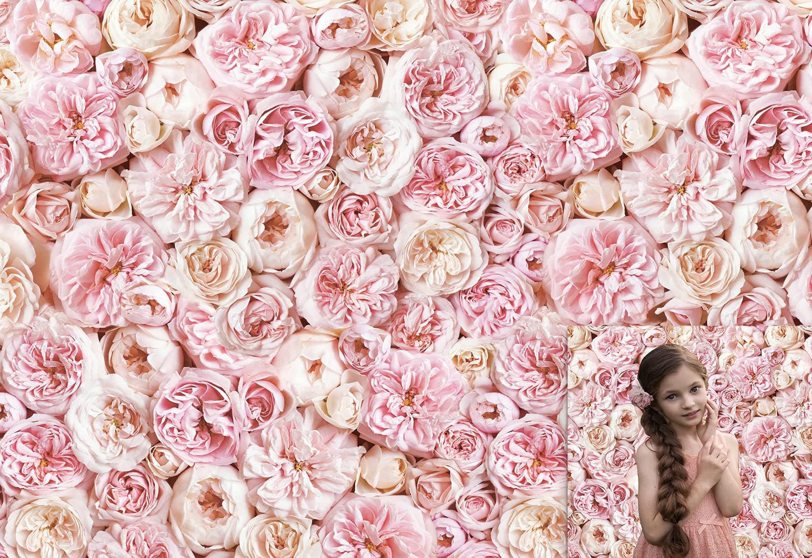 Allenjoy Floral Backdrop for Photography Blush Rose Blooms Flower Photo Background Bridal Baby Shower Valentine's Day Wedding Lover Birthday Party Decoration Banner Photobooth Studio Prop 7x5ft