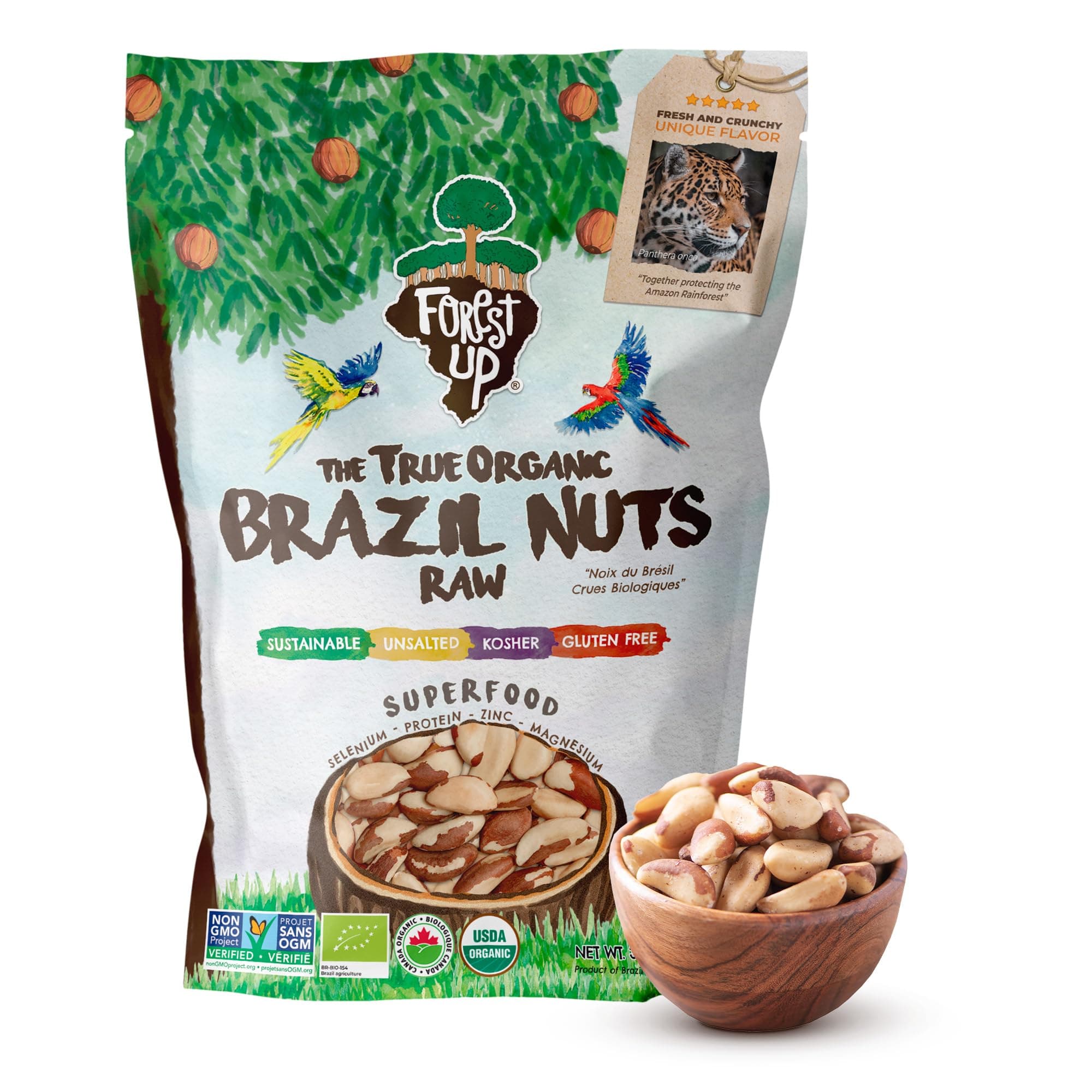 Floresta em Pé The True Organic Premium Brazil Nuts (32oz - 2lbs) Raw & Unsalted | Kosher | Non-Gmo | Certified Organic | Fresh | Vegan | Gluten Free | Keto and Paleo Friendly | Sustainably Harvested