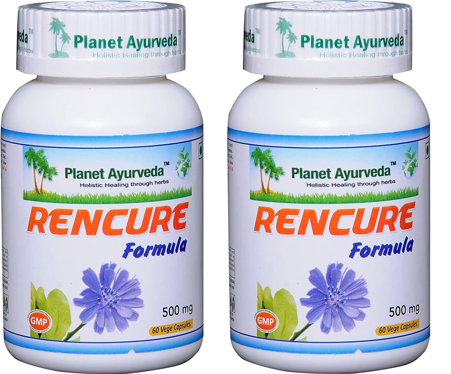 Rencure Formula - Natural Plant Based Supplement for General Well Being - 2 Bottles (Each 60 Capsules, 500mg)