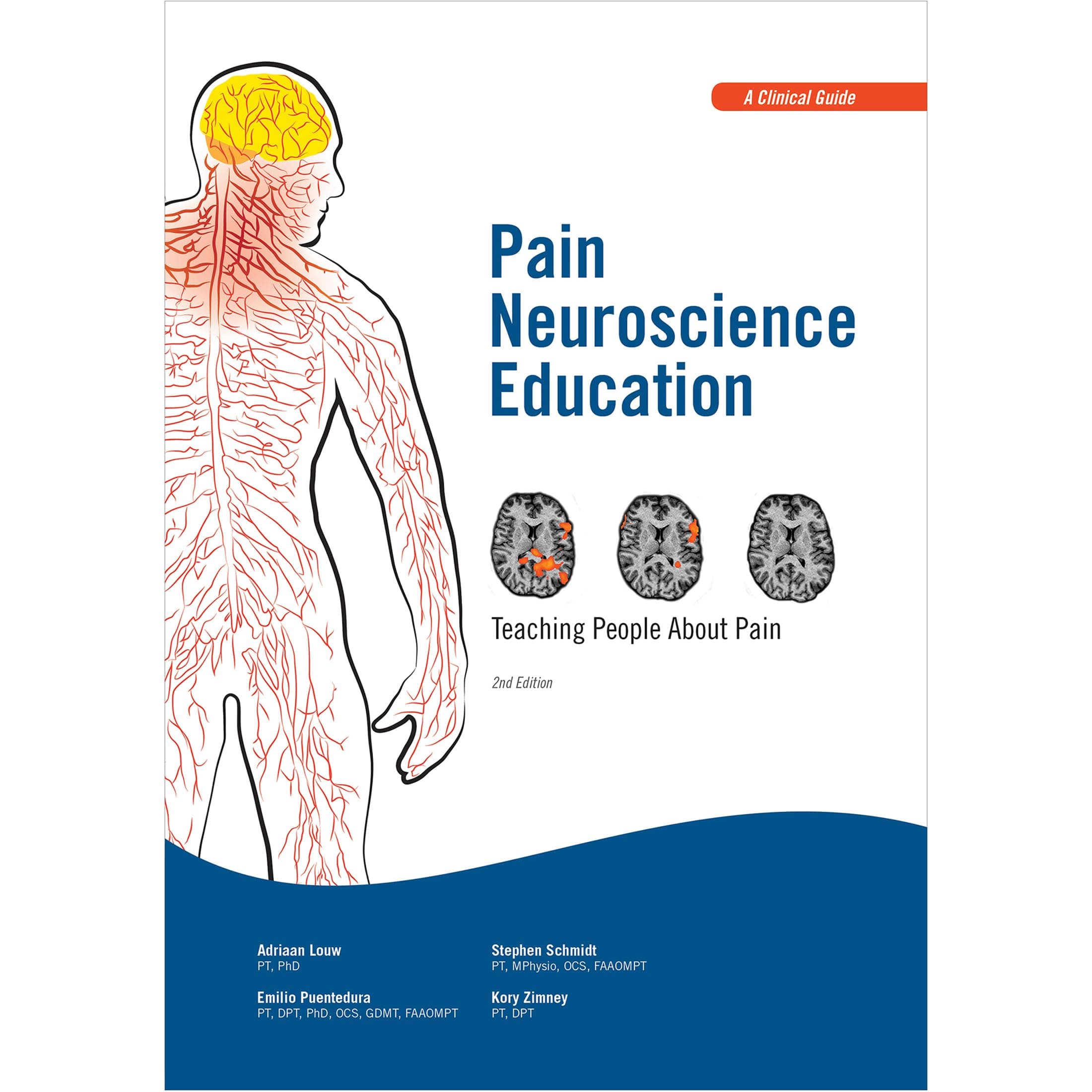Pain Neuroscience Education: Teaching People About Pain 1st Edition