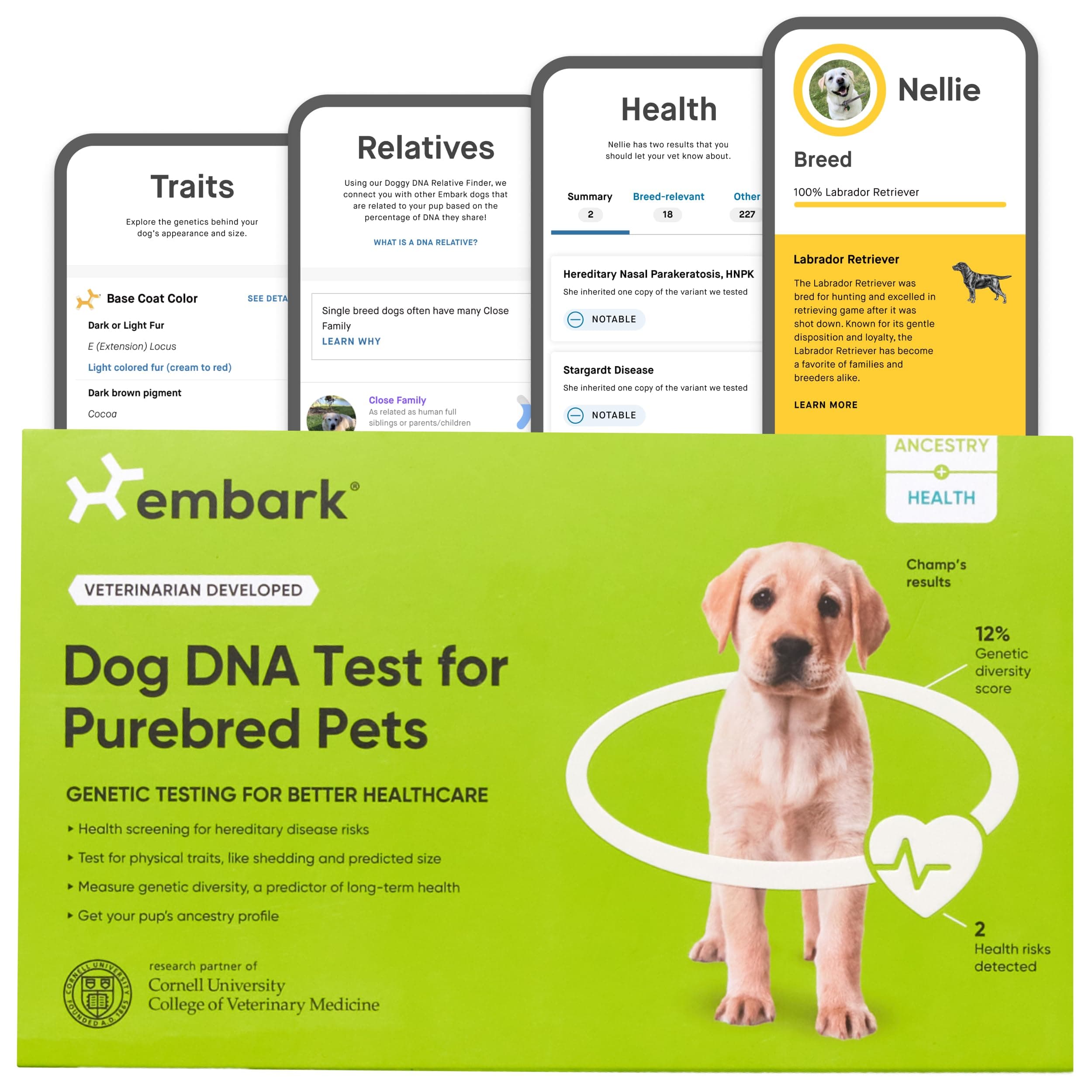 Dog DNA Test for Purebred Pets | Canine Genetic Health Screening & Genetic Diversity Score