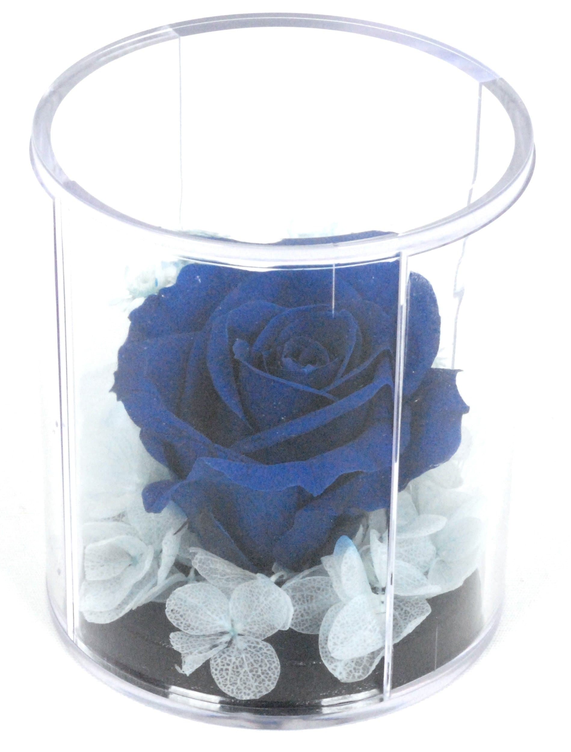 Natural Rose Preserved Flower in Durable Acrylic Case-BLUE