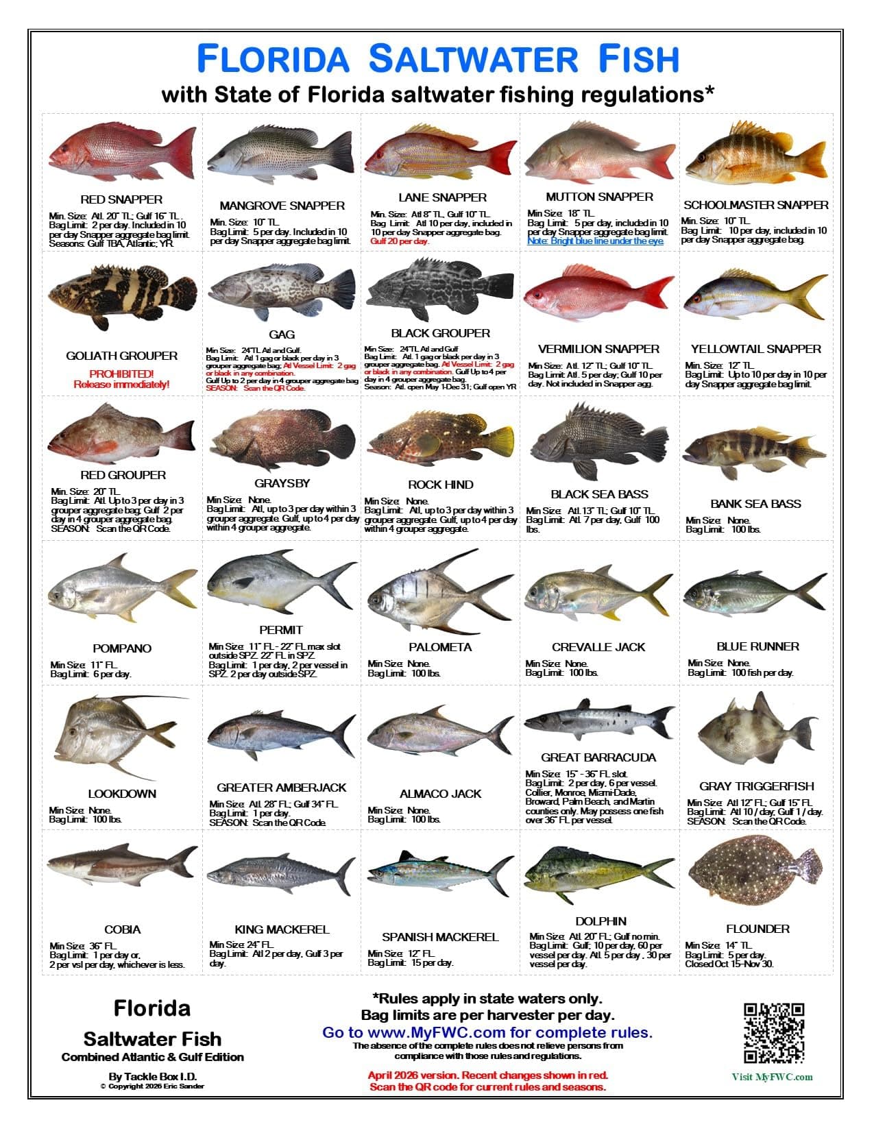 Florida Saltwater Fish Identification Cards - Waterproof Guide Set of 3 - 60 Common Fish +17 Sharks. FWC Regulations - Laminated Fishing Reference for Boats, Pier, Beach, Inshore-Offshore Fishing
