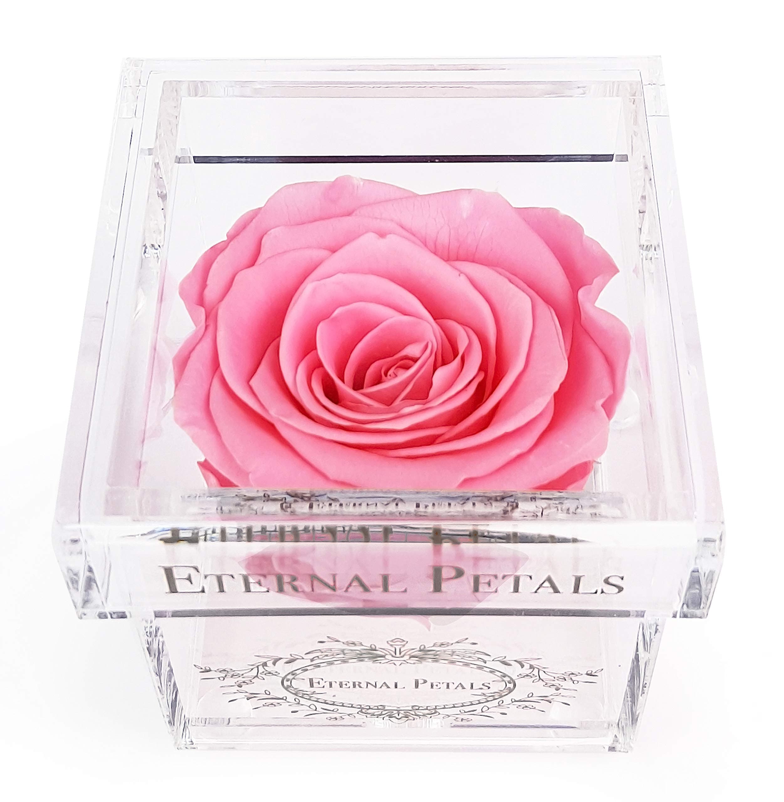 Eternal Petals A 100% Real Rose That Lasts A Year - The Perfect Unique Gift for Women and Men, An, A Birthday Gift (Pink)