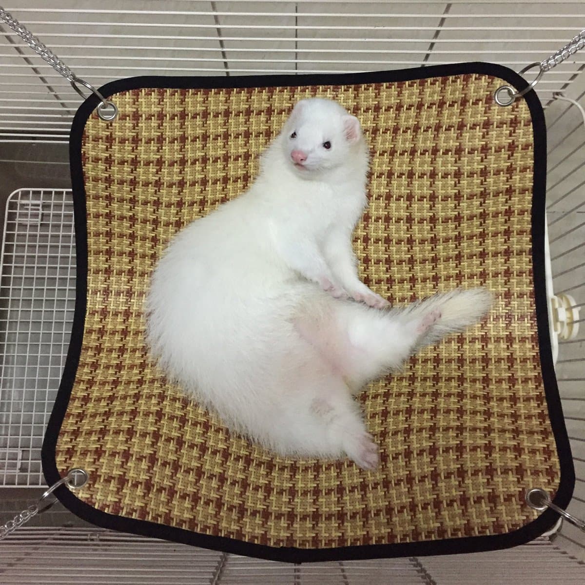 Ferret Hammock Cat Rattan Hammock Bed Made by Natural Fibre, Soft Cool and Comfortable Pet Mat Pad Hammock Use with Cage for Kitten, Cat, or Small Animals
