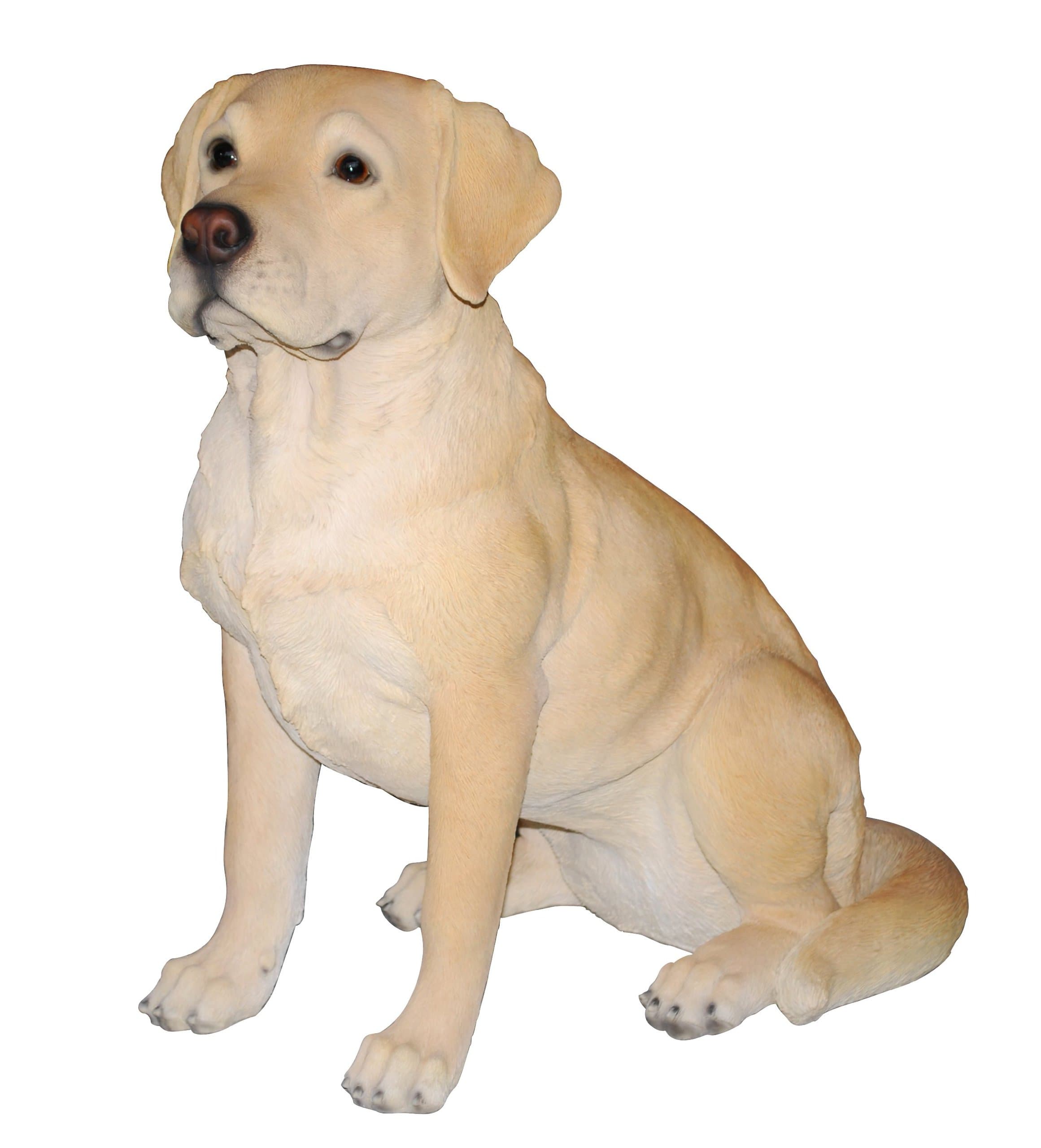 Vivid Arts Size-A Real Life Golden Labrador