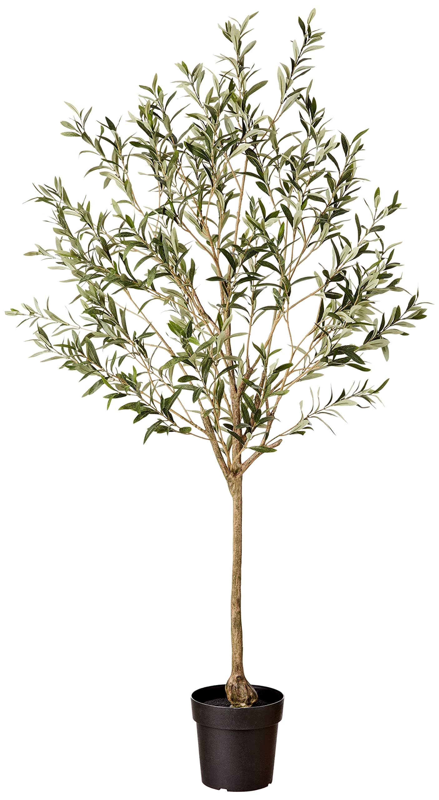 Amazon Brand - Stone & Beam Artificial Olive Tree with Plastic Nursery Pot, 5.6 Feet (67.5 Inches) / Large, Indoor