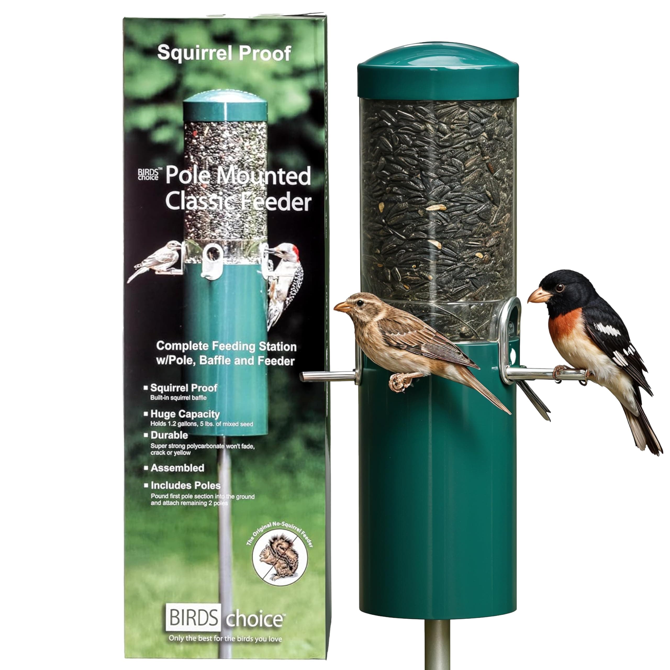 Classic Squirrel Proof Bird Feeder with Pole Mount | Tube Bird Feeder for Cardinals, Chickadees, Woodpeckers | Sturdy Steel for Long-Lasting Use | Backyard Bird Seed Dispenser | Green