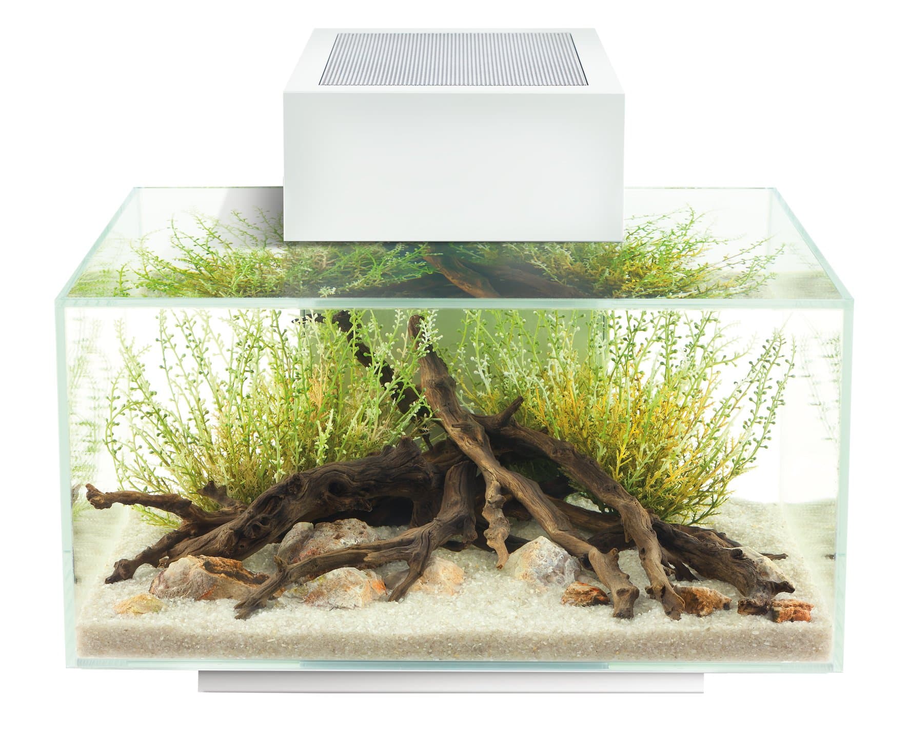 Fluval Edge 6-Gallon Aquarium with 21-LED Light, White