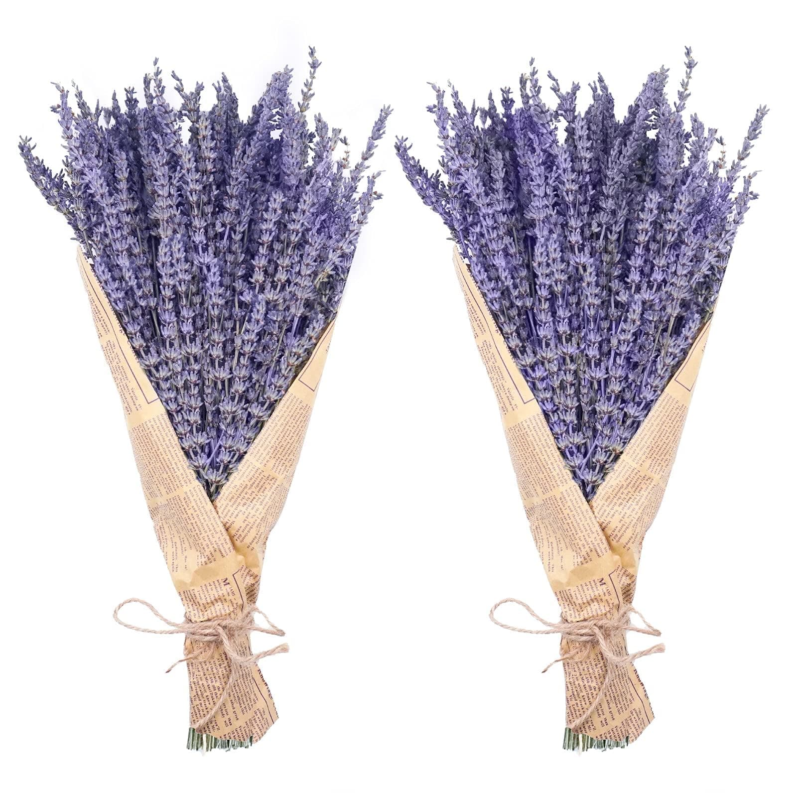 Uieke Dried Lavender Bunch, Natural Dried Lavender Flowers 280-300 Stems 16 Inch Home Wading Decoration Flower Arrangement Home Fragrance 2 Bundles