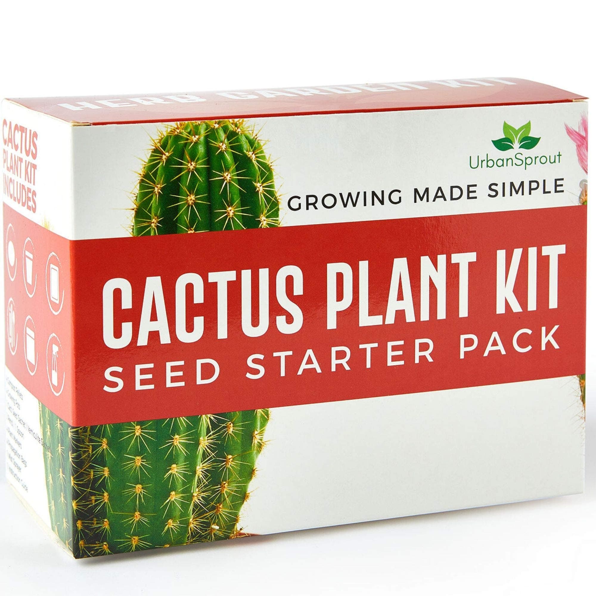 Cactus Grow Kit - Grow Your Own Cactus from Seed - Sustainable Eco Gardening Gift Set with 5 Cactus Seed Varieties and Cactus Starter Kit Tools