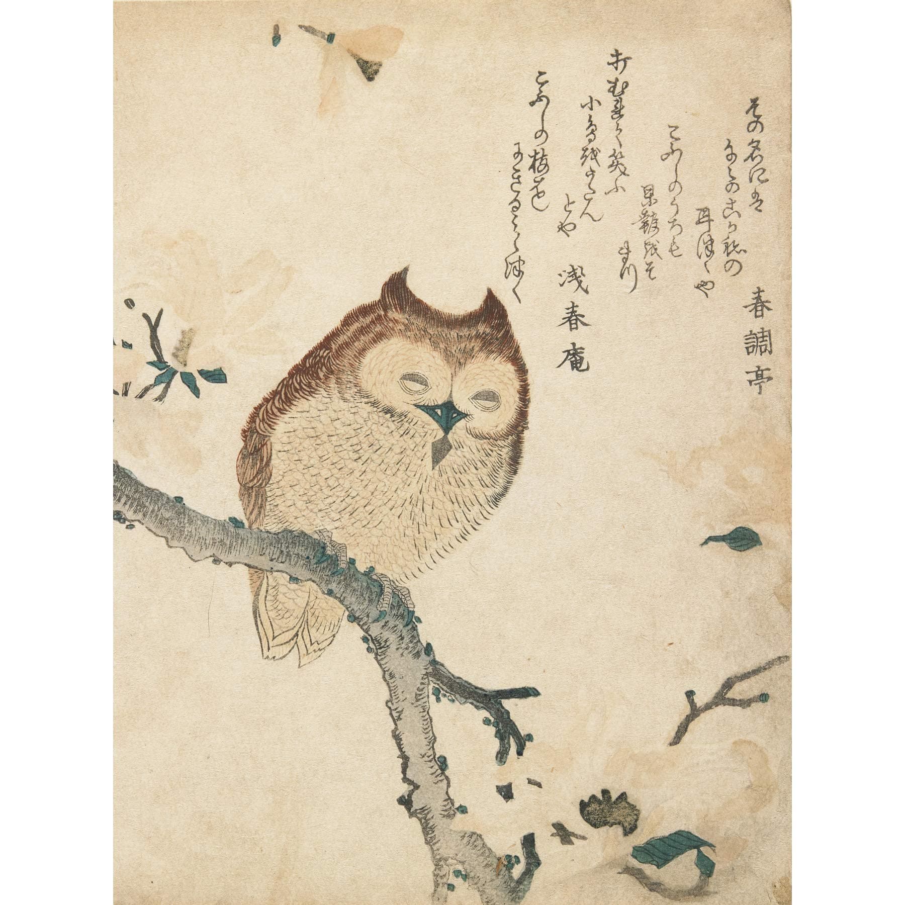 Horned Owl Flowering Branch Kubo Shunman Premium Wall Art Canvas Print 18X24 Inch